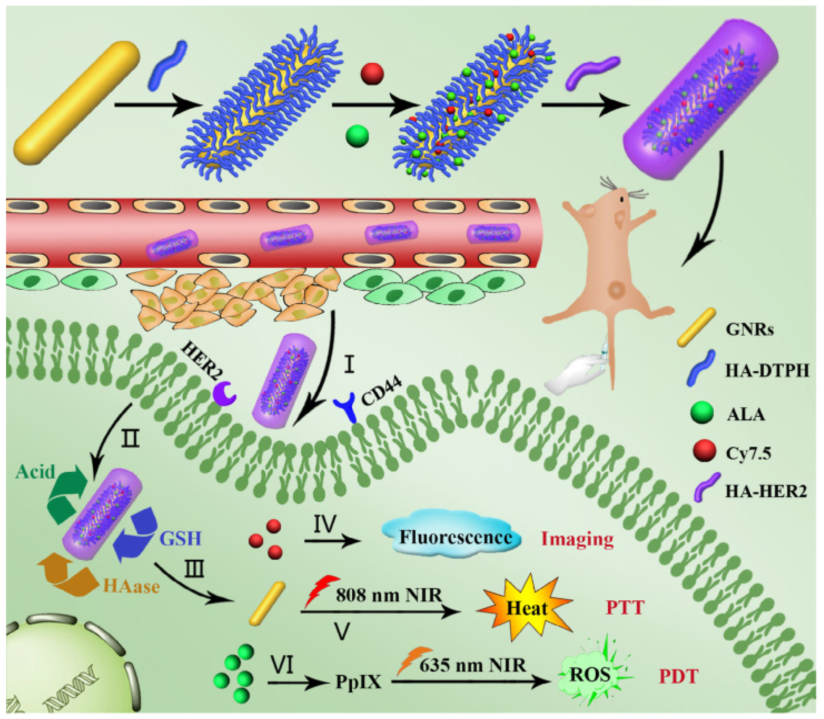 Pharmaceutics 15 01713 g004