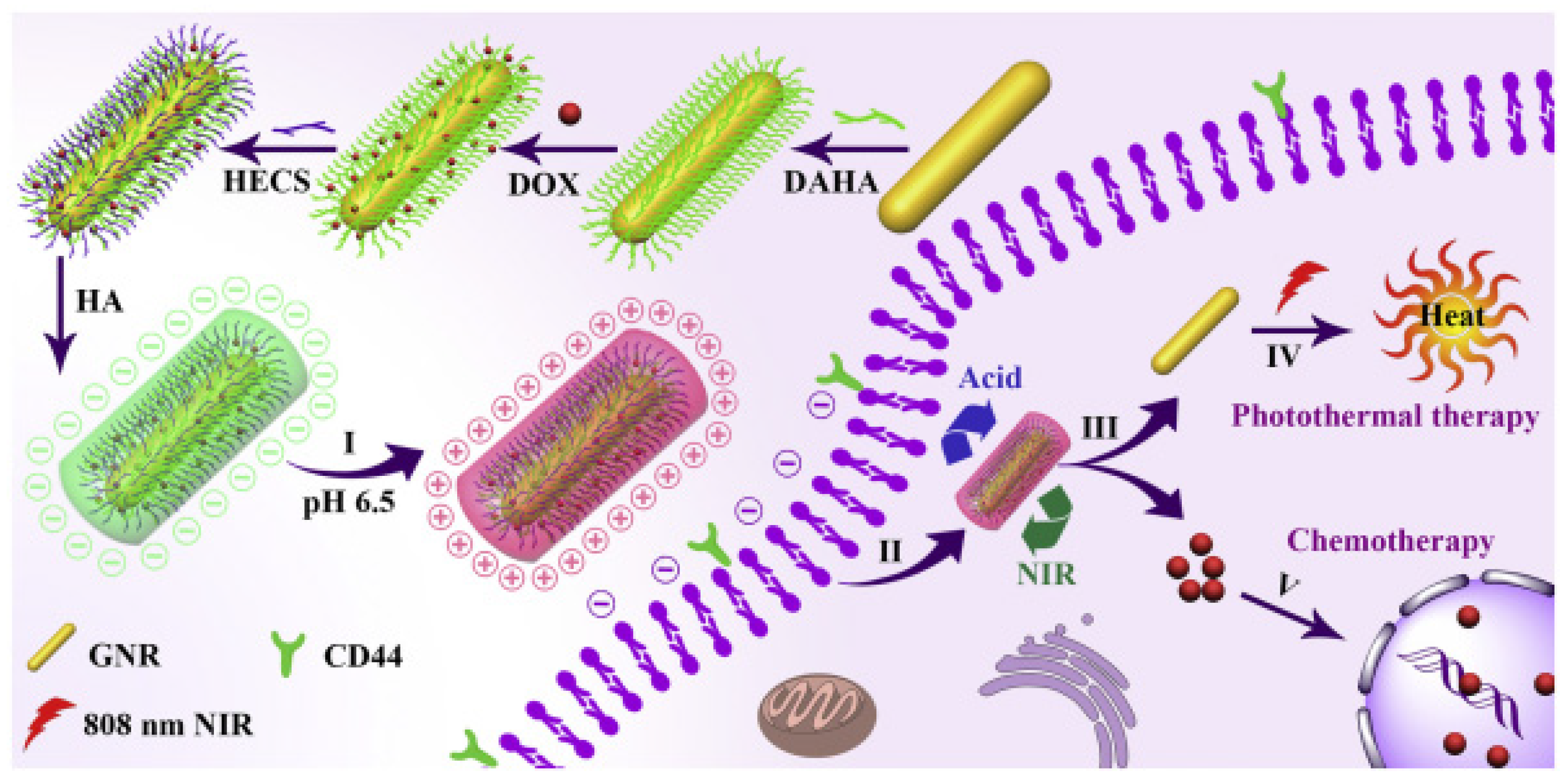 Pharmaceutics 15 01713 g005