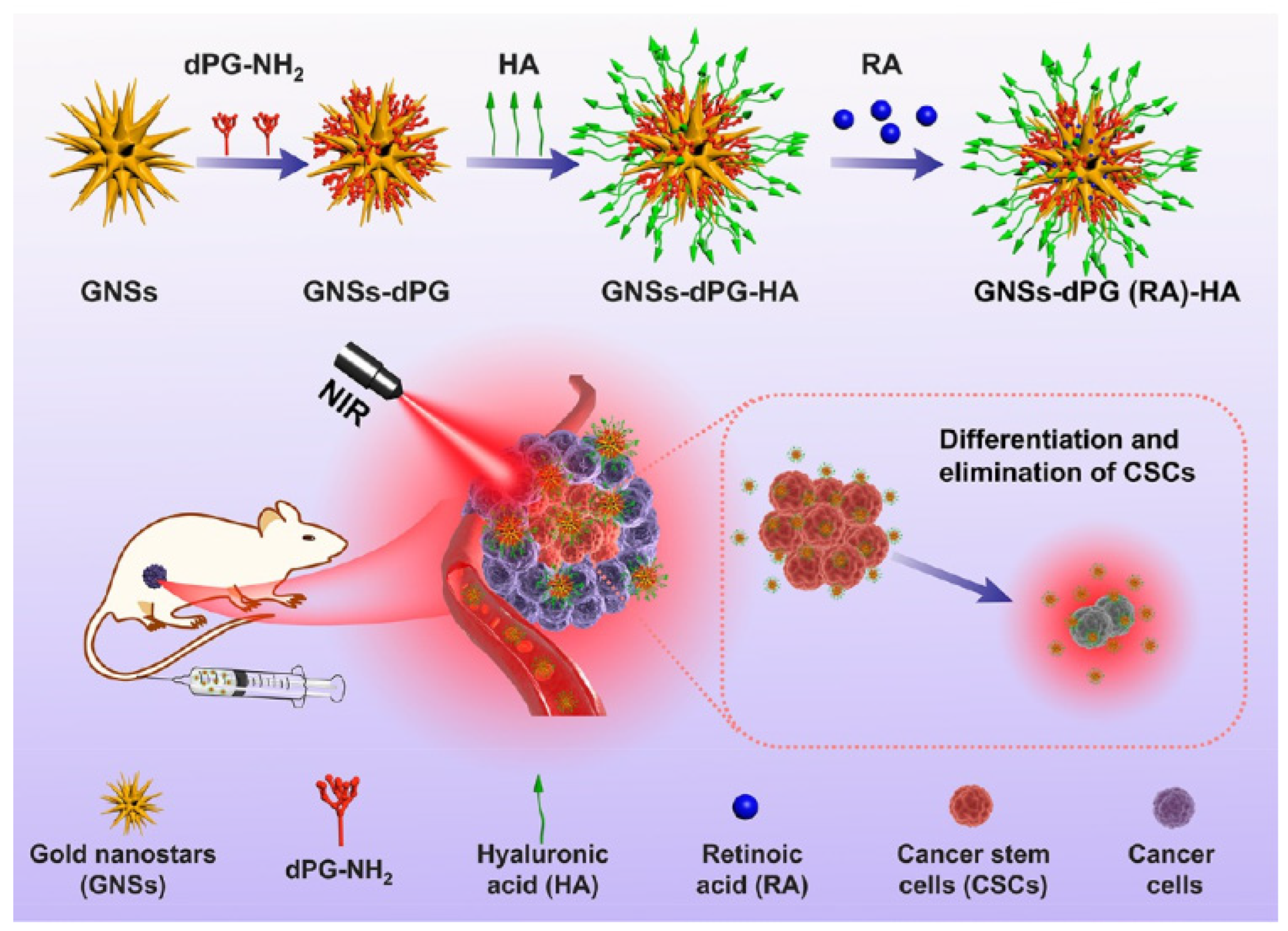 Pharmaceutics 15 01713 g007
