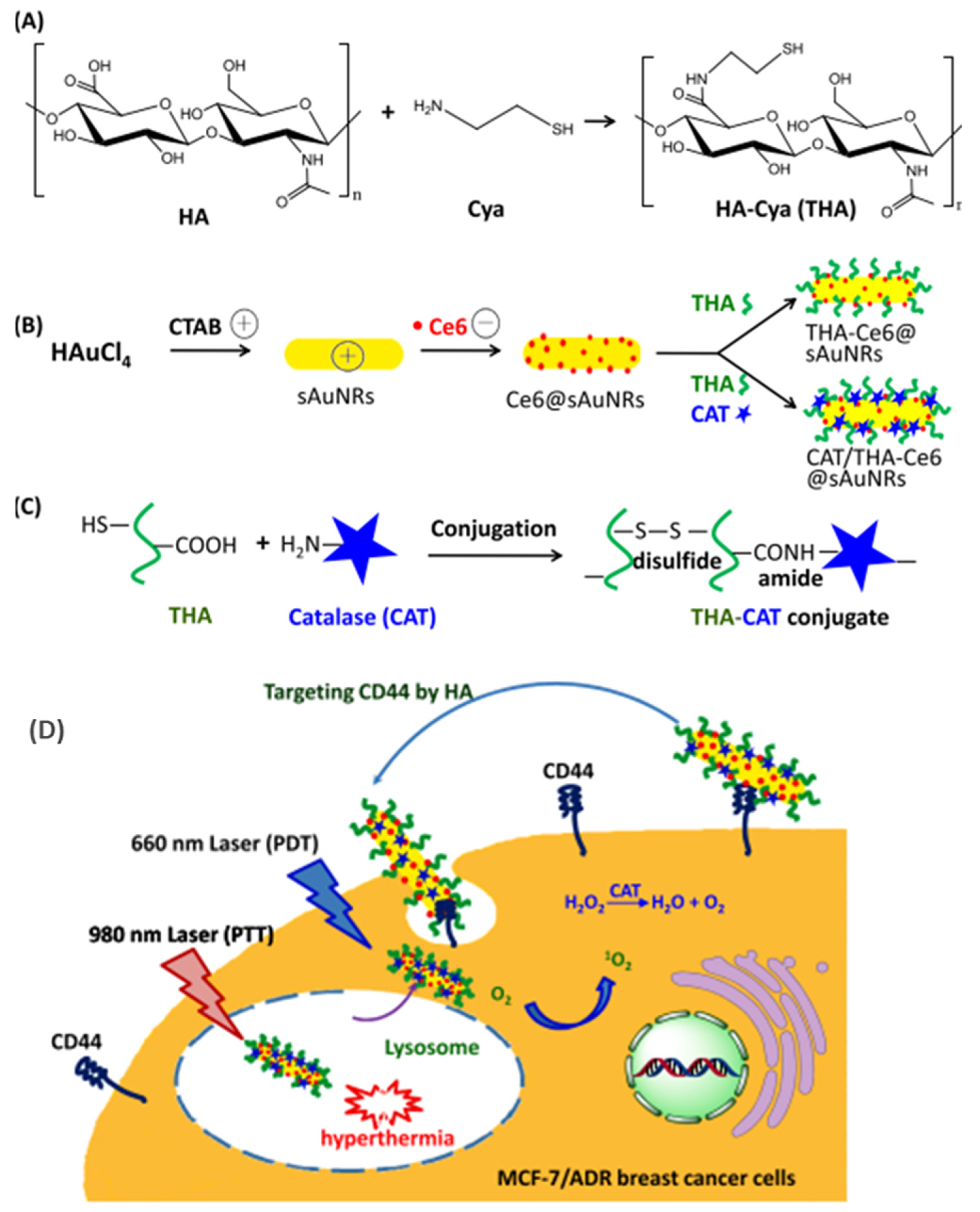 Pharmaceutics 15 01713 g008