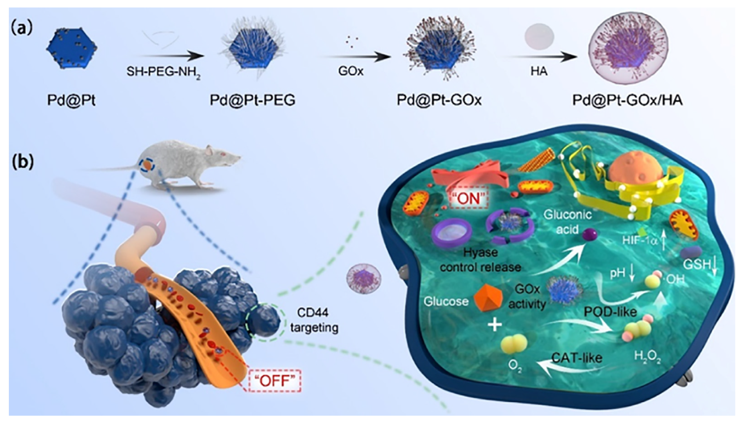 Pharmaceutics 15 01713 g009