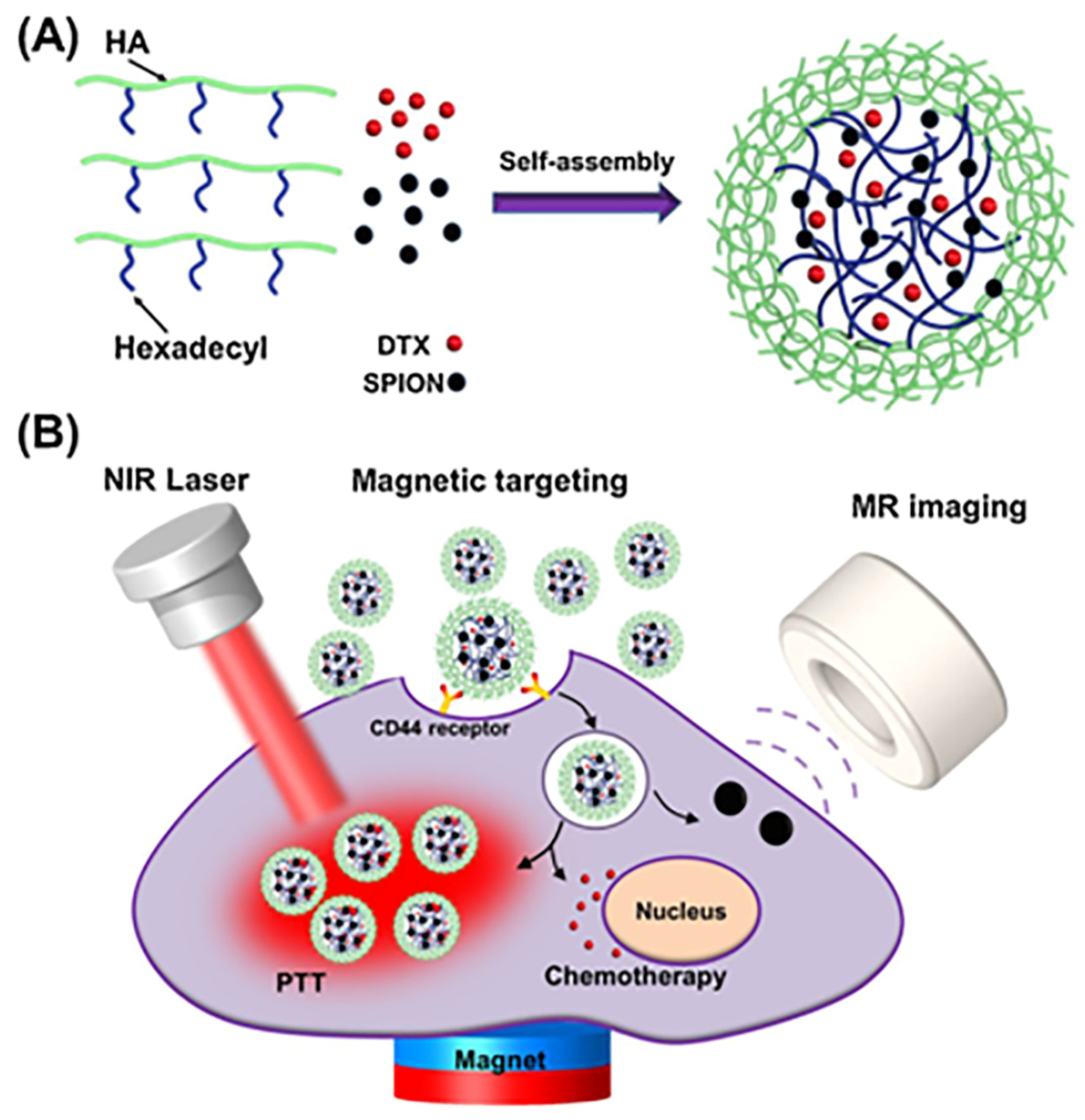 Pharmaceutics 15 01713 g010