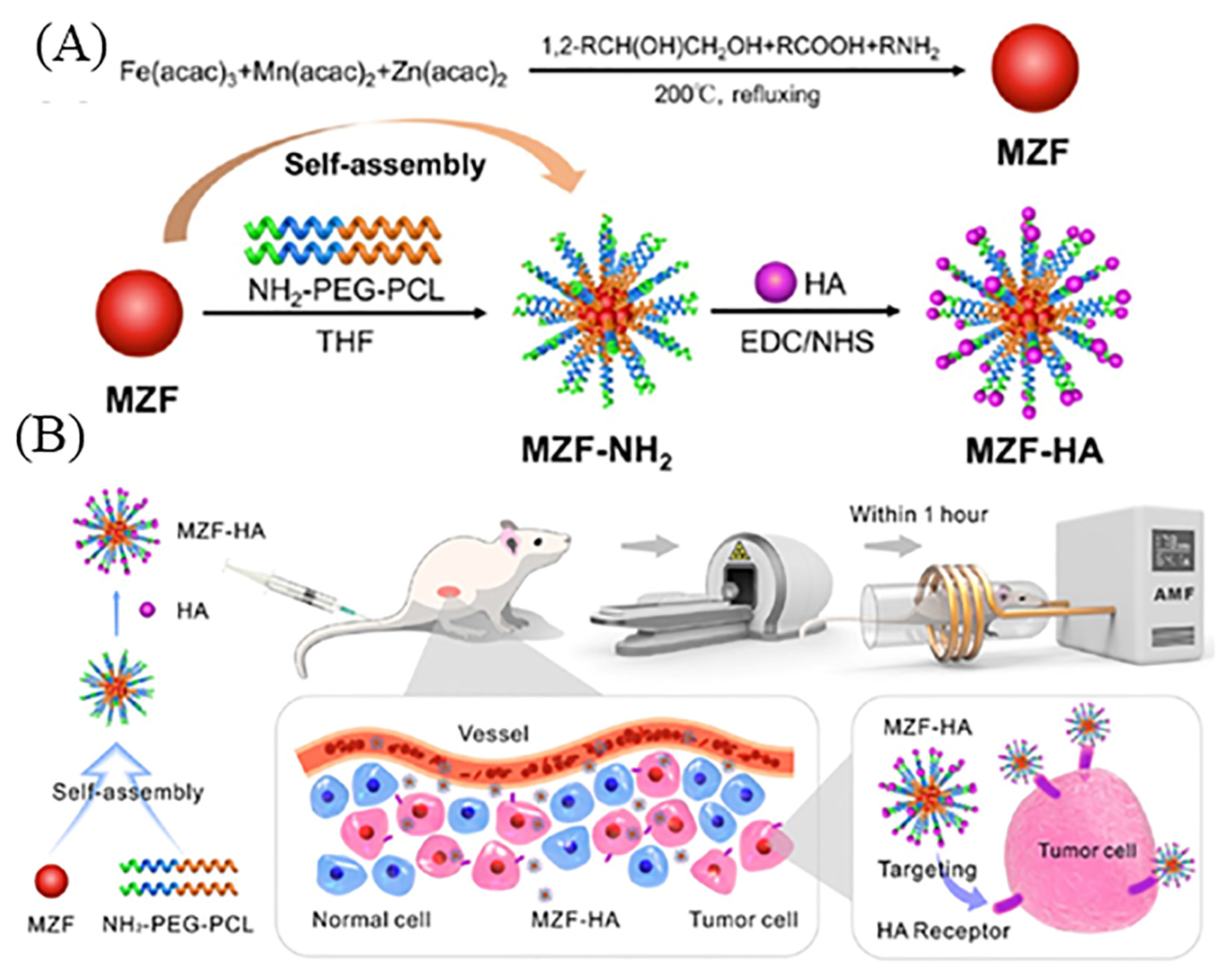 Pharmaceutics 15 01713 g012