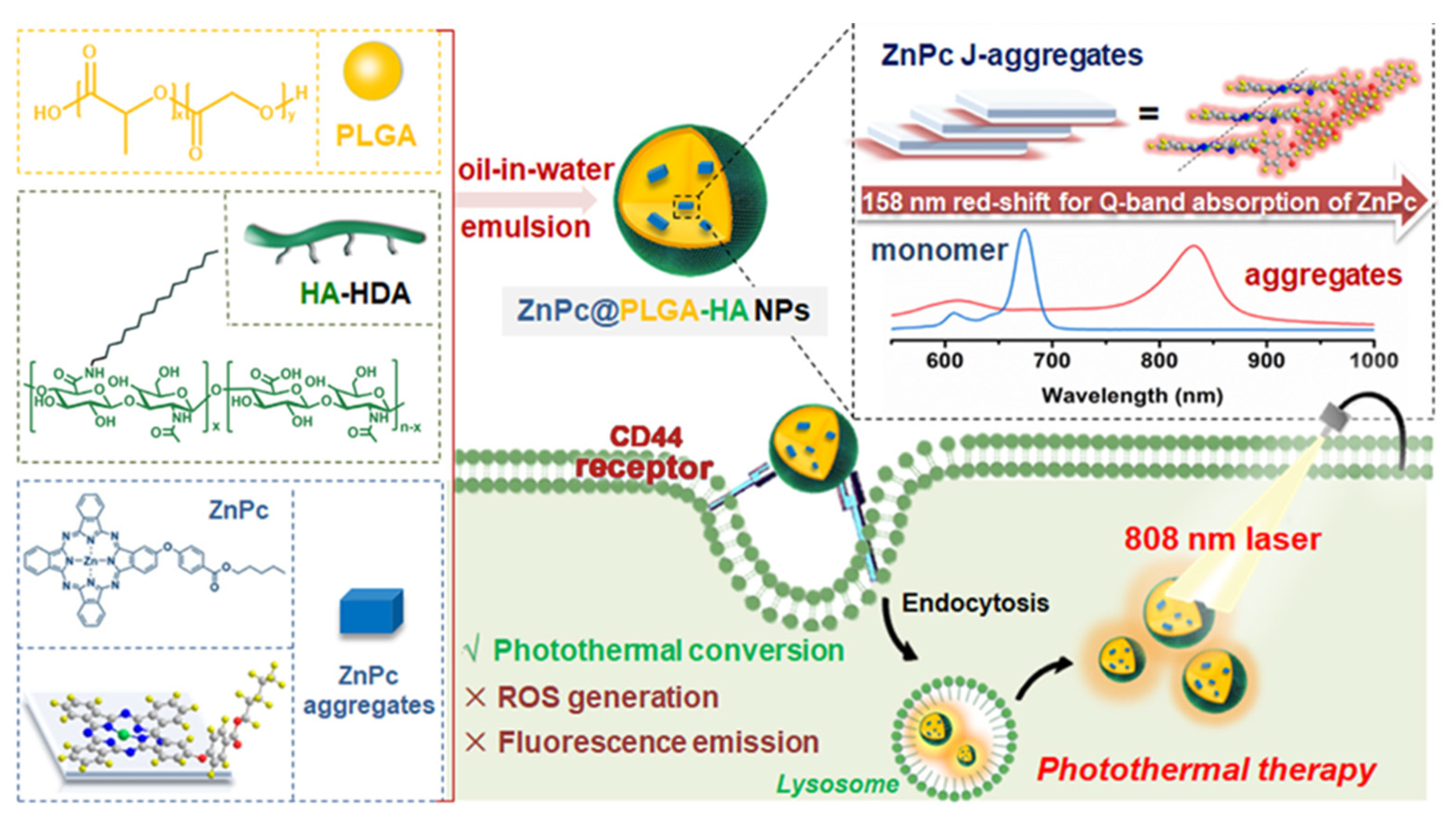 Pharmaceutics 15 01713 g013