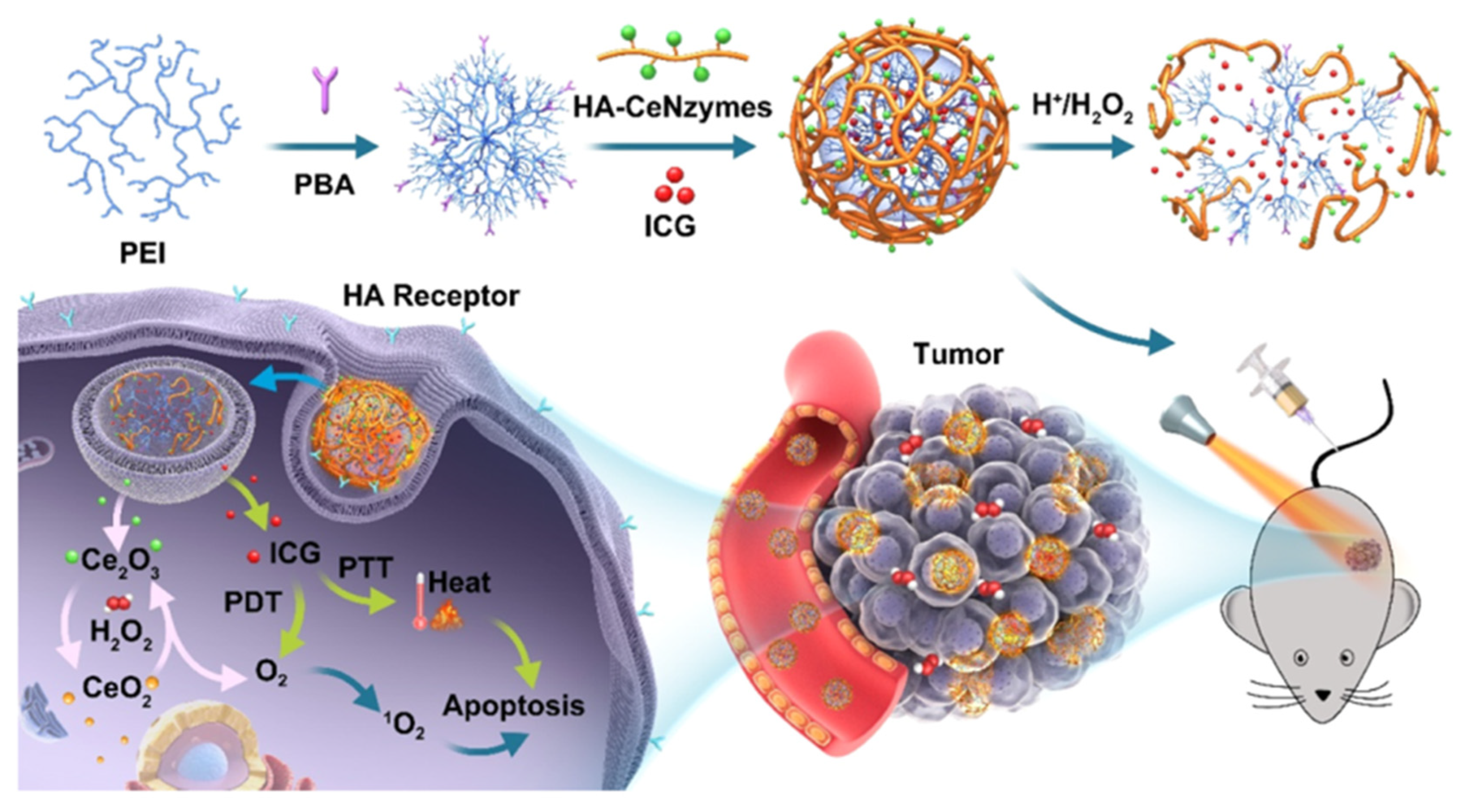 Pharmaceutics 15 01713 g014