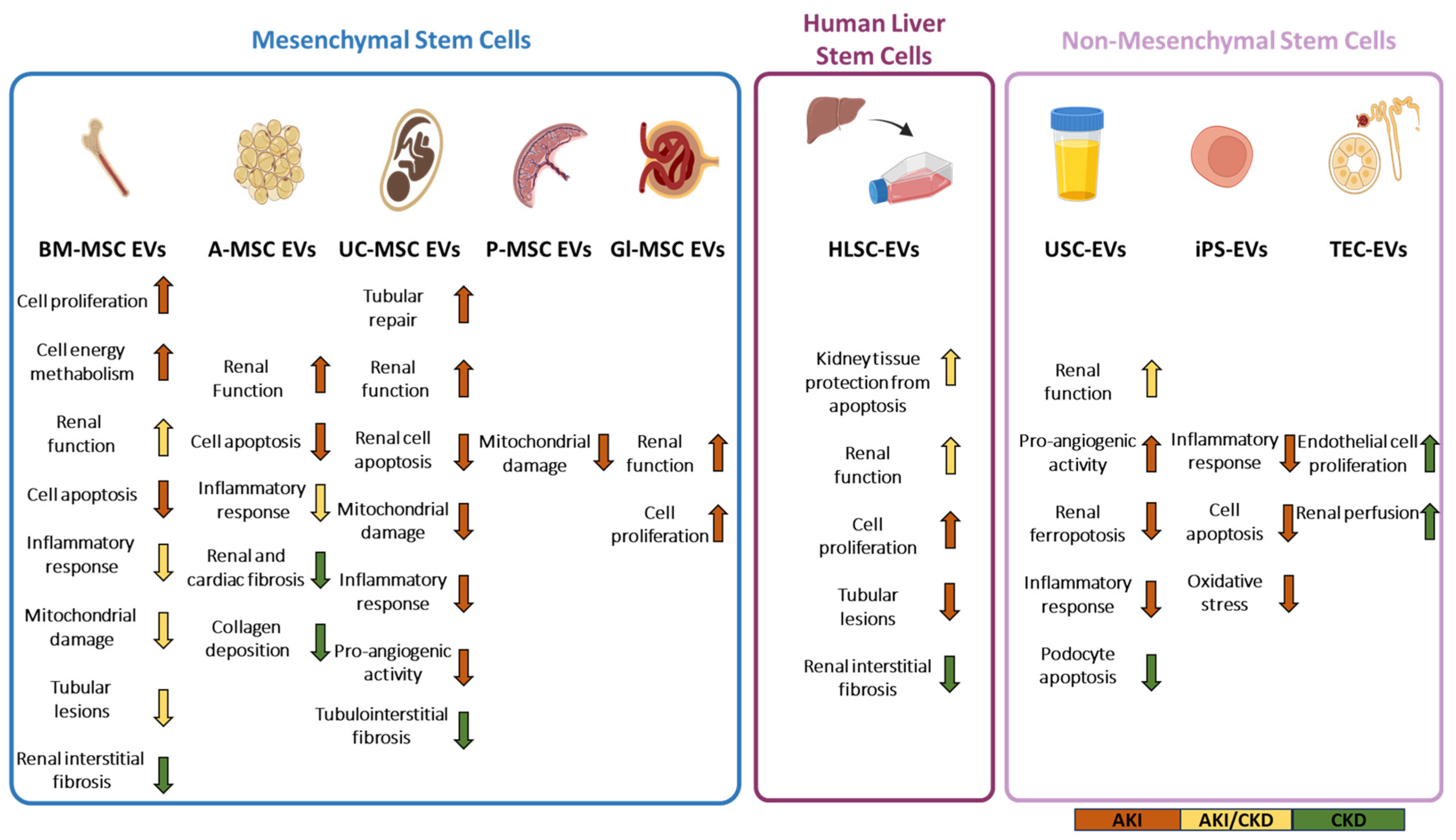 Pharmaceutics 15 01715 g001