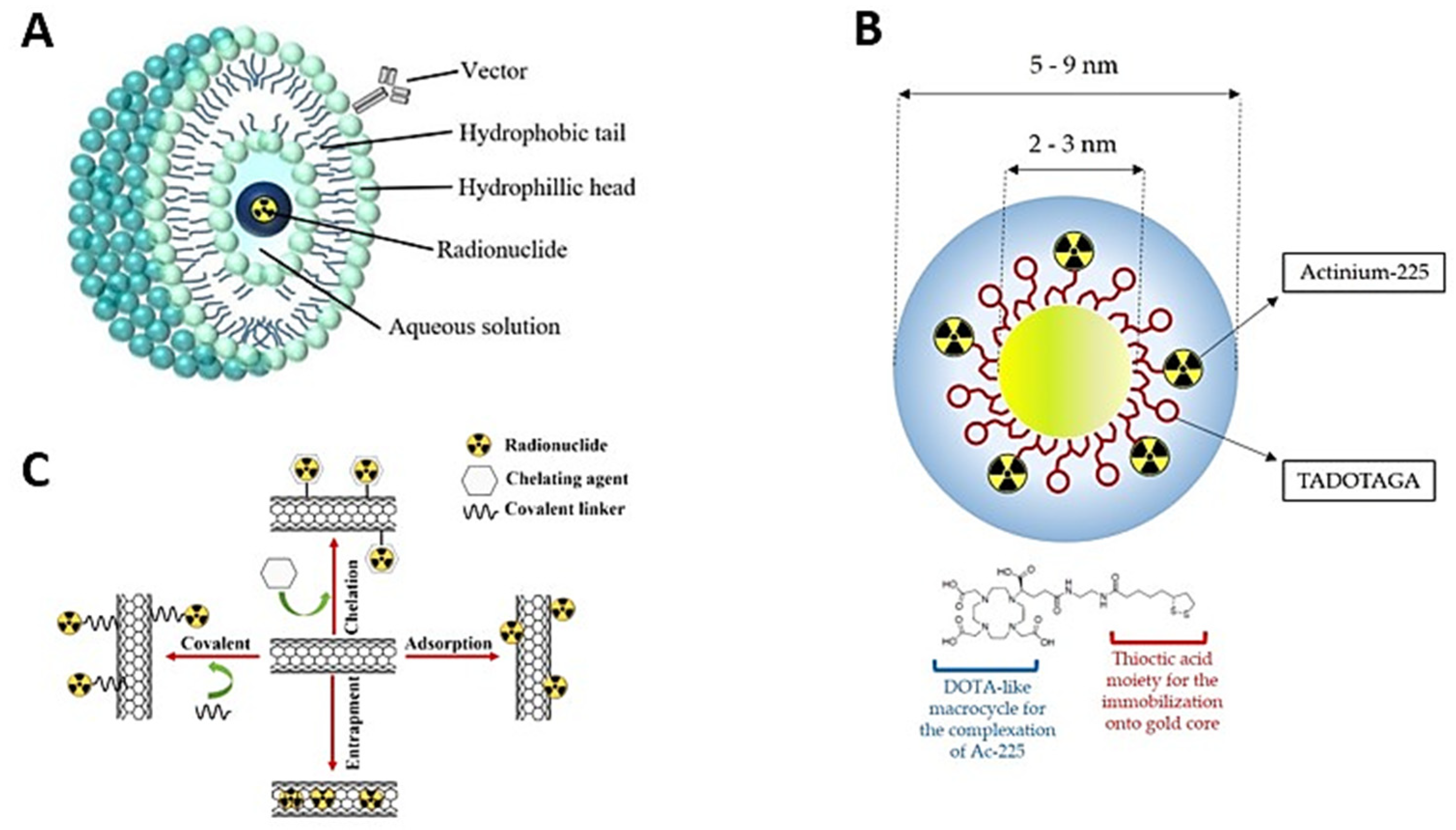 Pharmaceutics 15 01719 g004