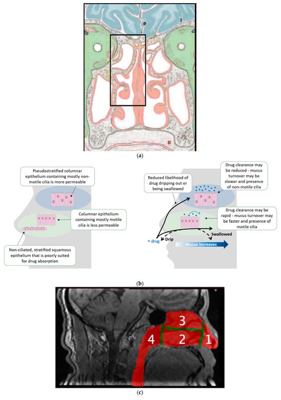 Pharmaceutics 15 01720 g001a