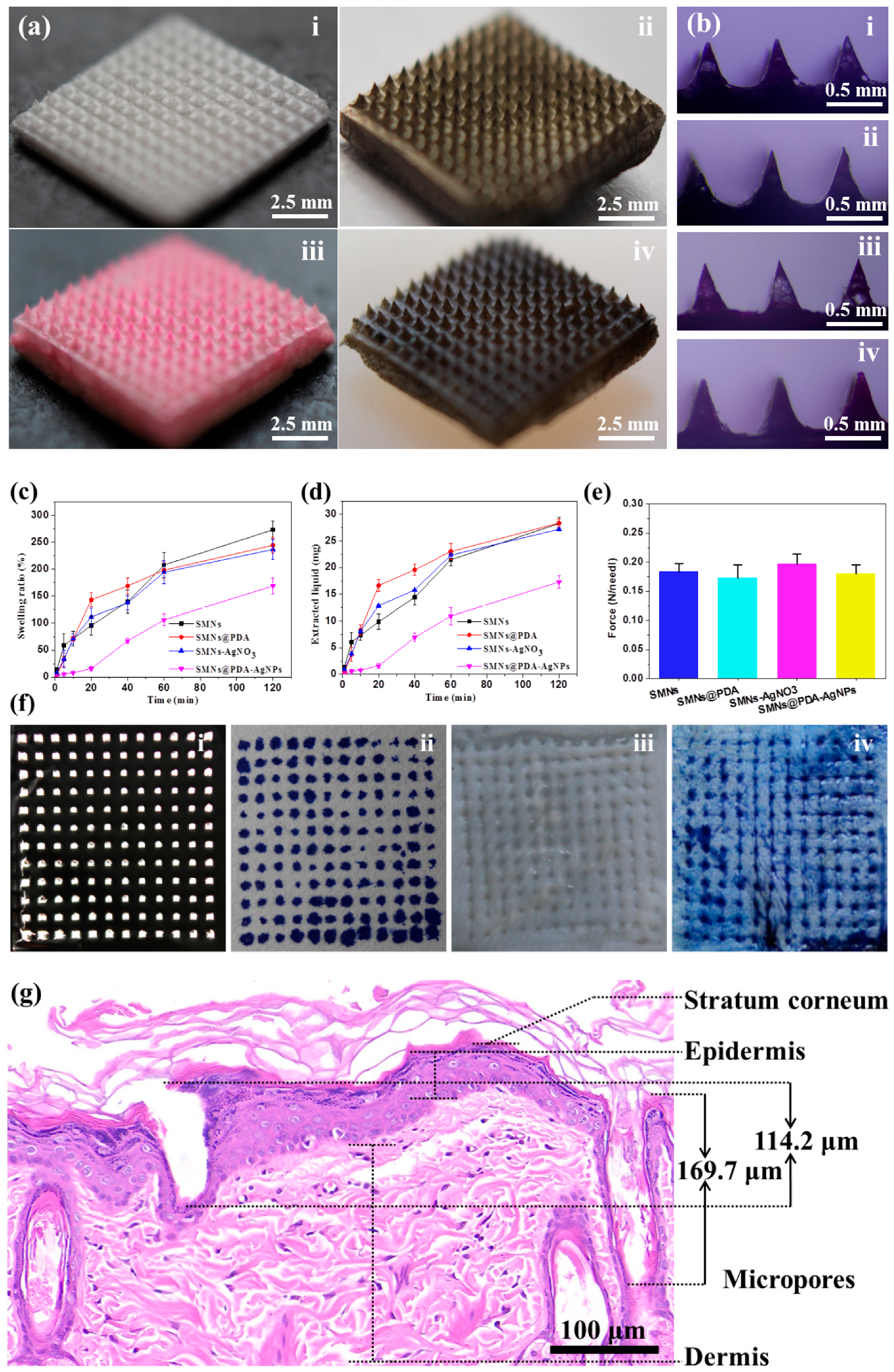 Pharmaceutics 15 01730 g002 Pharmaceutics 15 01730 g002