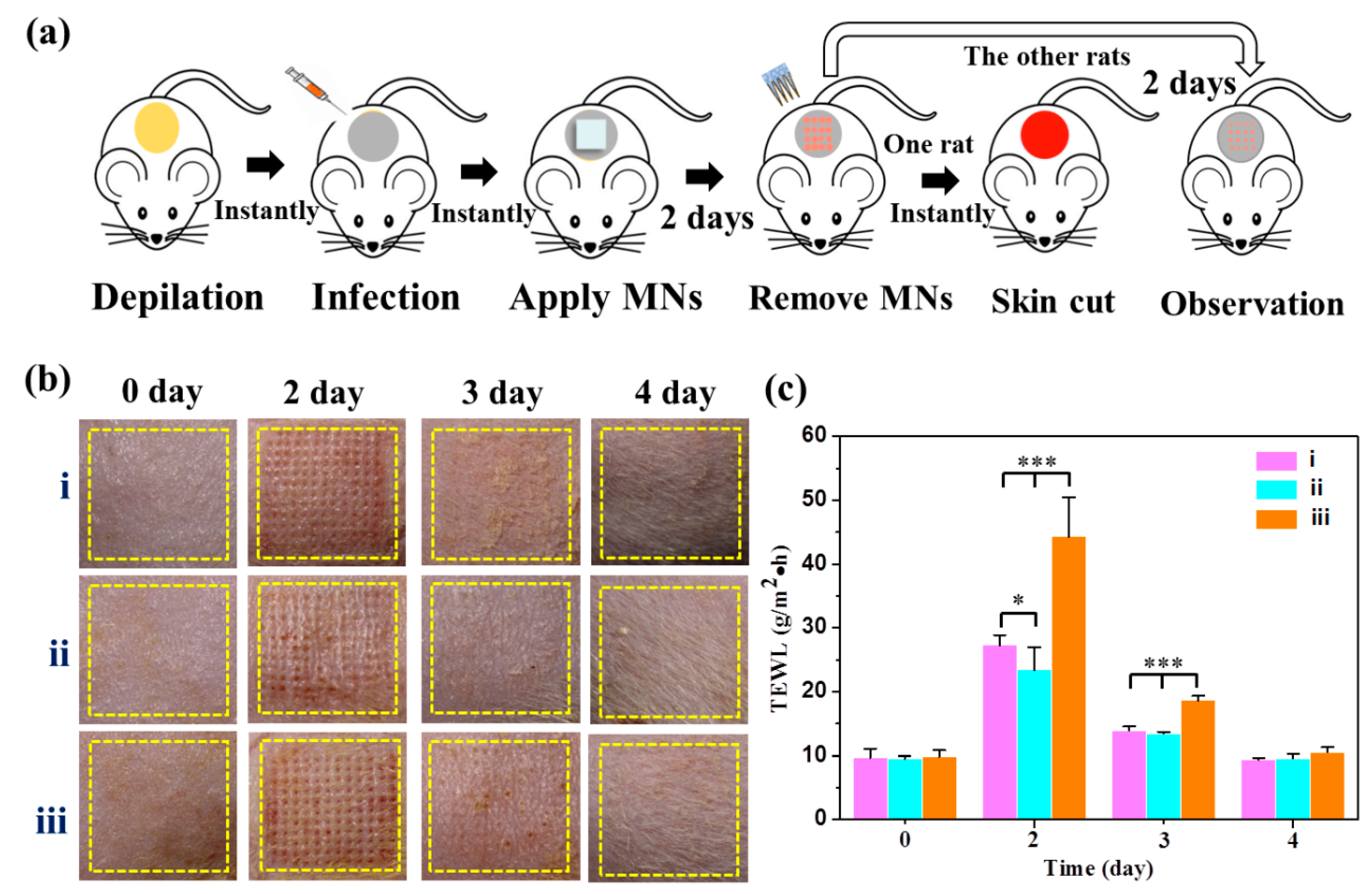 Pharmaceutics 15 01730 g006a Pharmaceutics 15 01730 g006a
