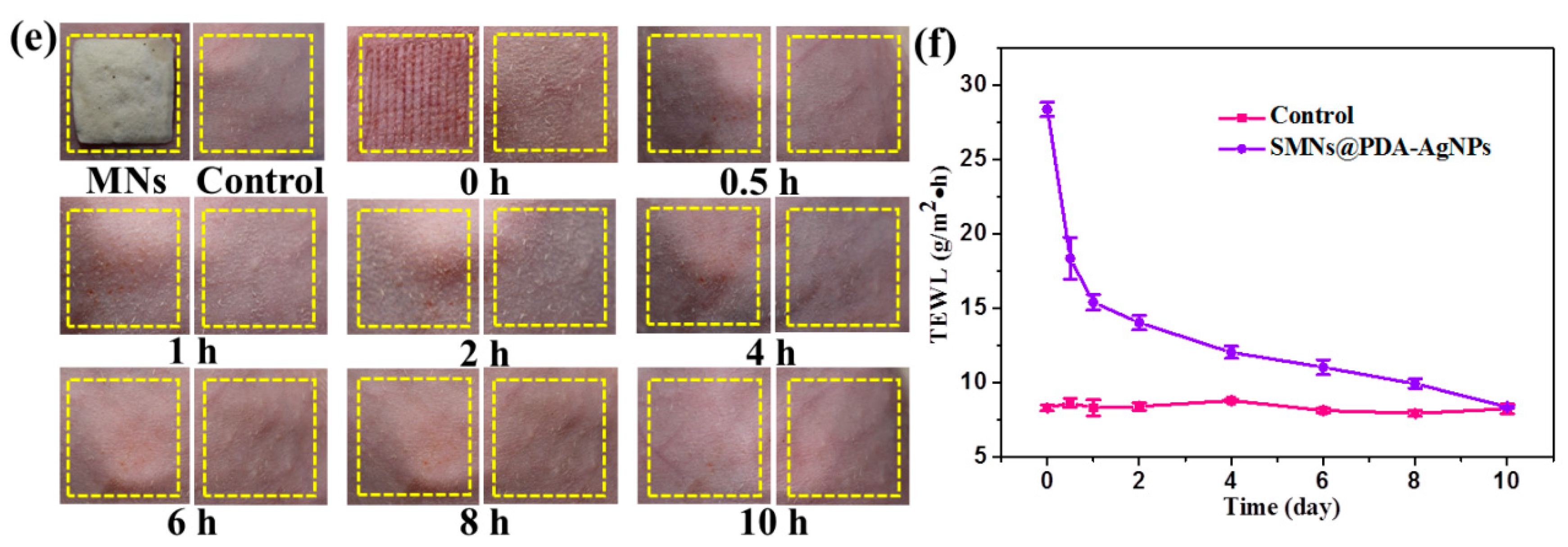 Pharmaceutics 15 01730 g007b Pharmaceutics 15 01730 g007b