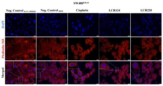 Pharmaceutics 15 01731 g0a7