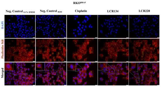 Pharmaceutics 15 01731 g0a8
