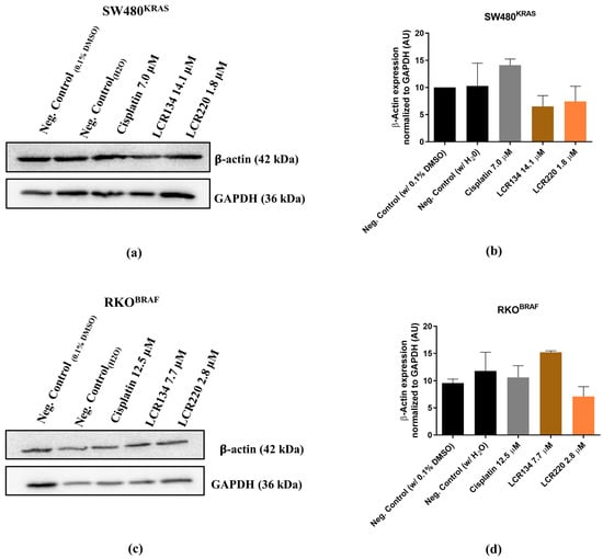Pharmaceutics 15 01731 g0a9