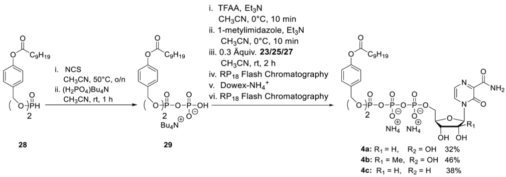 Pharmaceutics 15 01732 i007 Pharmaceutics 15 01732 i007