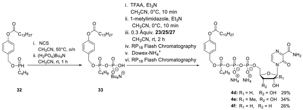 Pharmaceutics 15 01732 i009 Pharmaceutics 15 01732 i009
