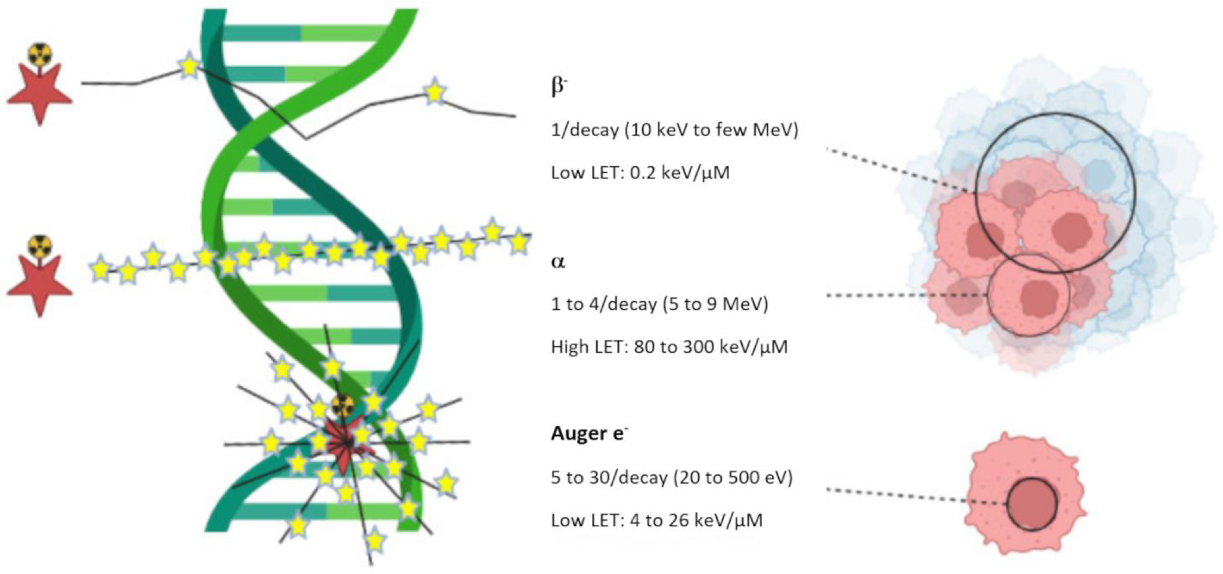Pharmaceutics 15 01733 g001