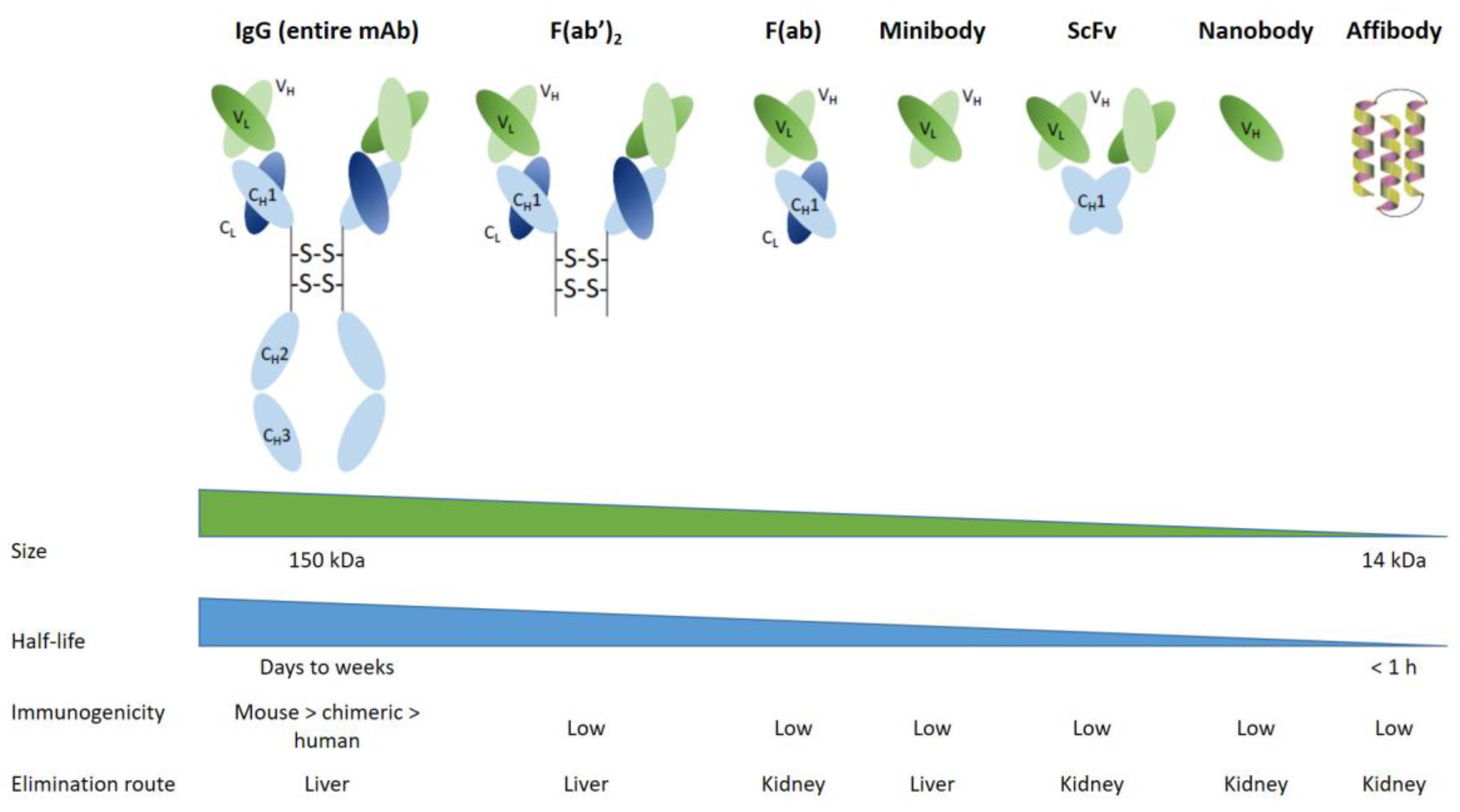Pharmaceutics 15 01733 g004