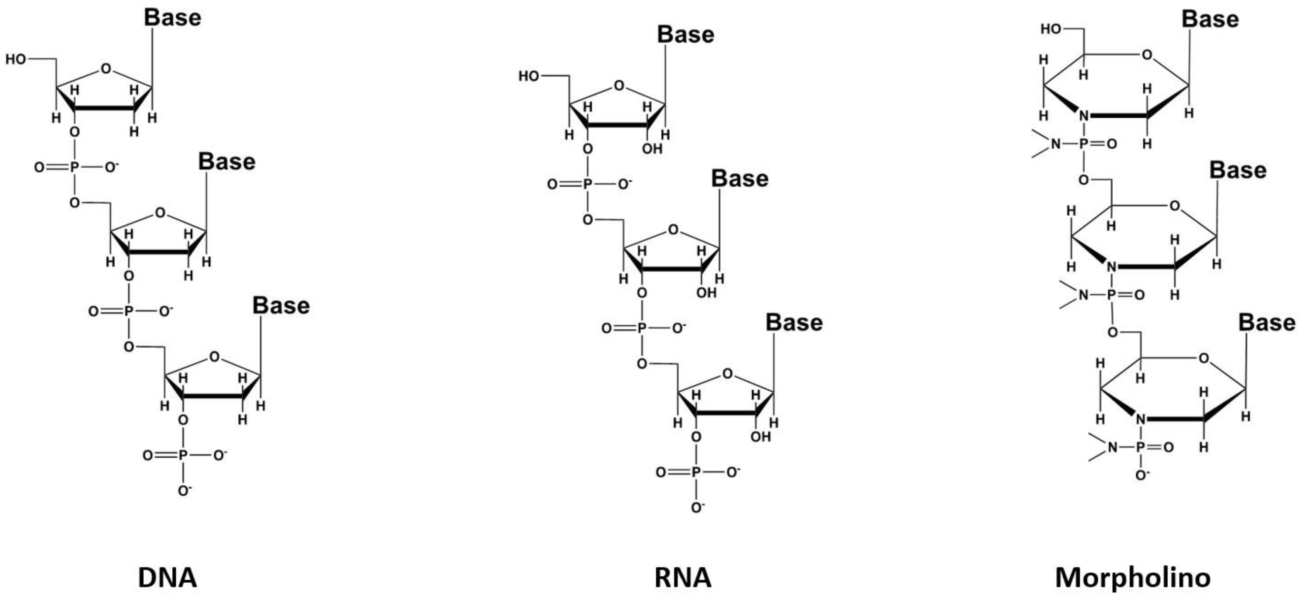 Pharmaceutics 15 01733 g005