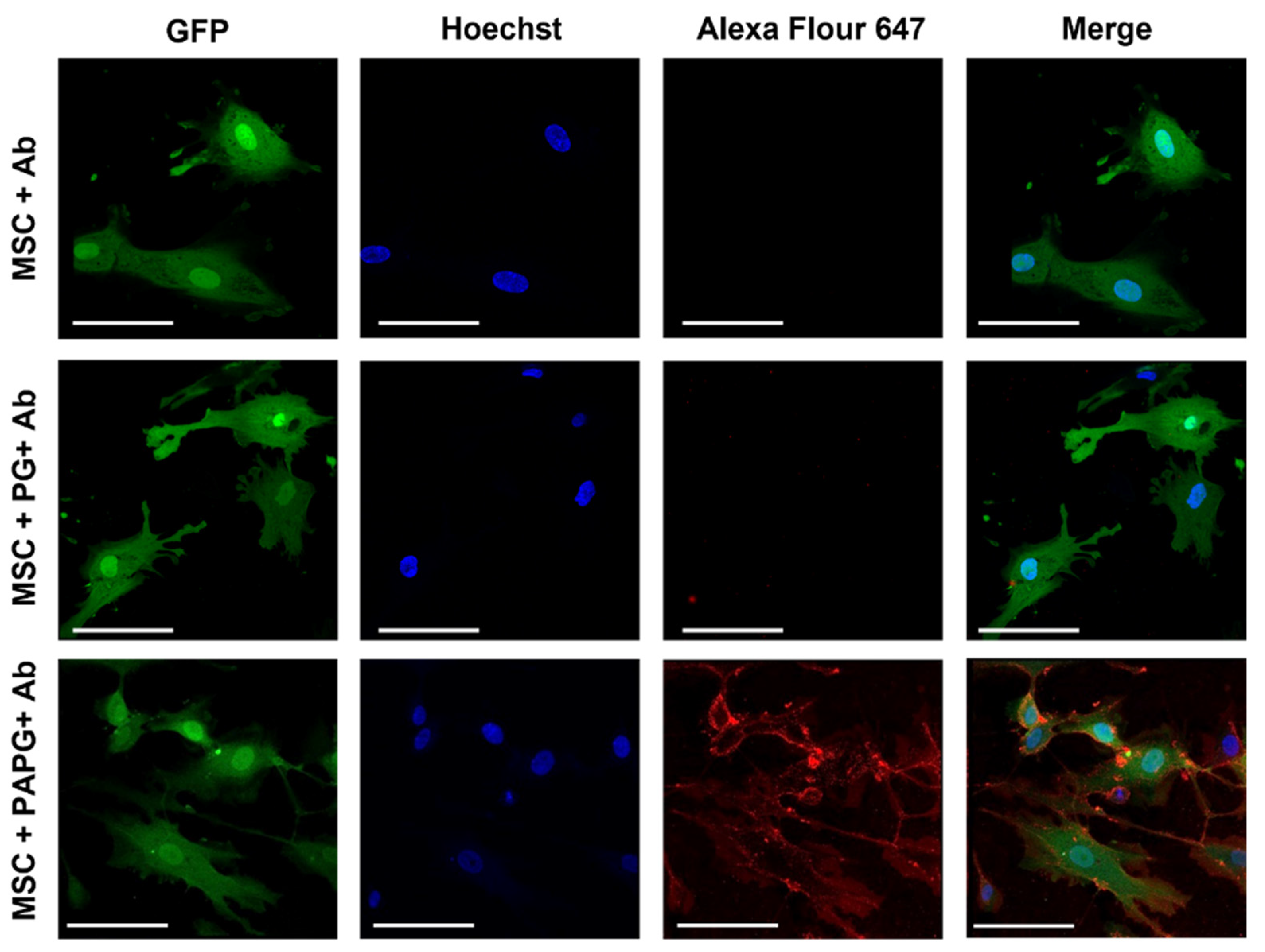 Pharmaceutics 15 01742 g004 Pharmaceutics 15 01742 g004