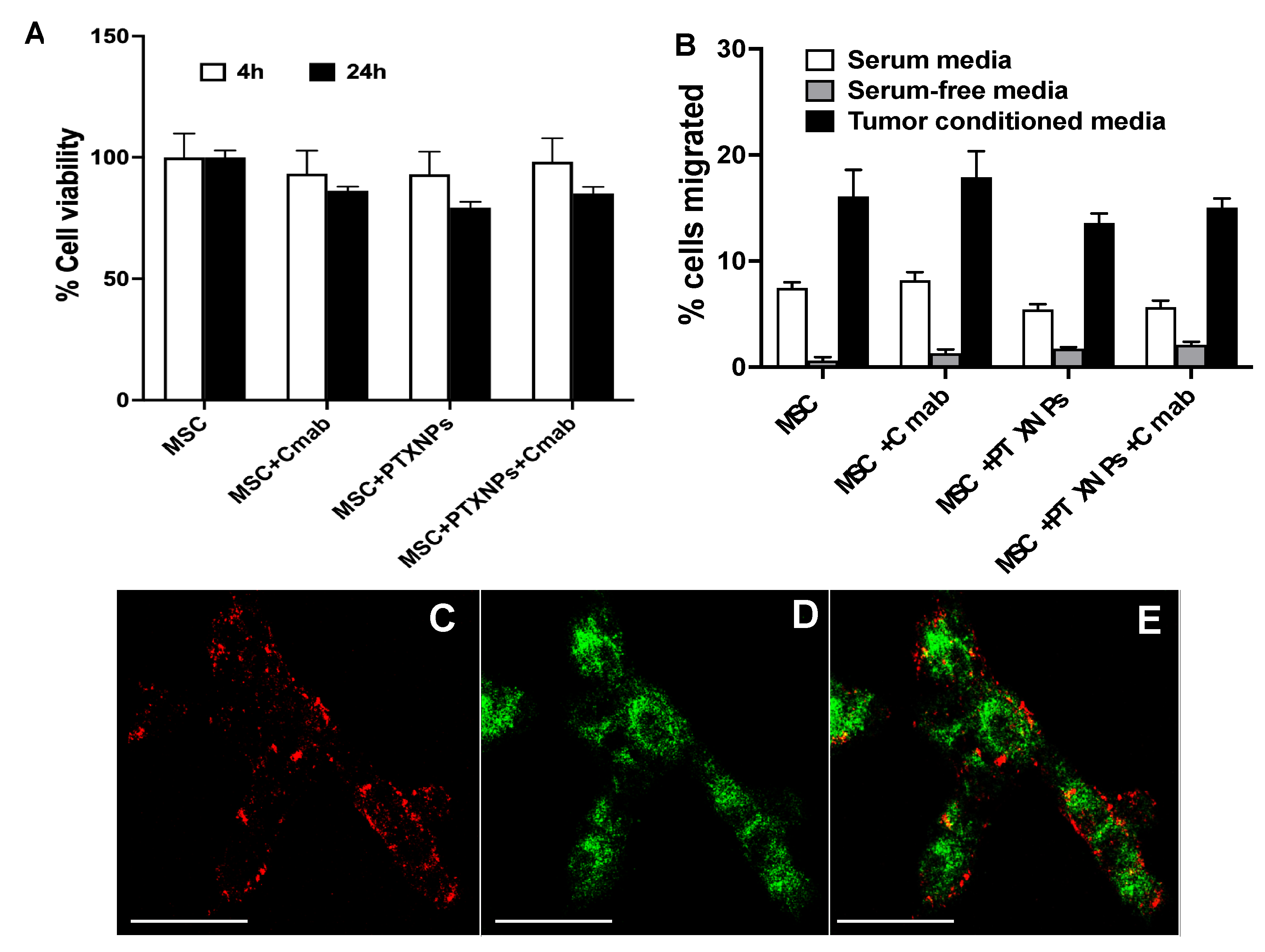 Pharmaceutics 15 01742 g006 Pharmaceutics 15 01742 g006