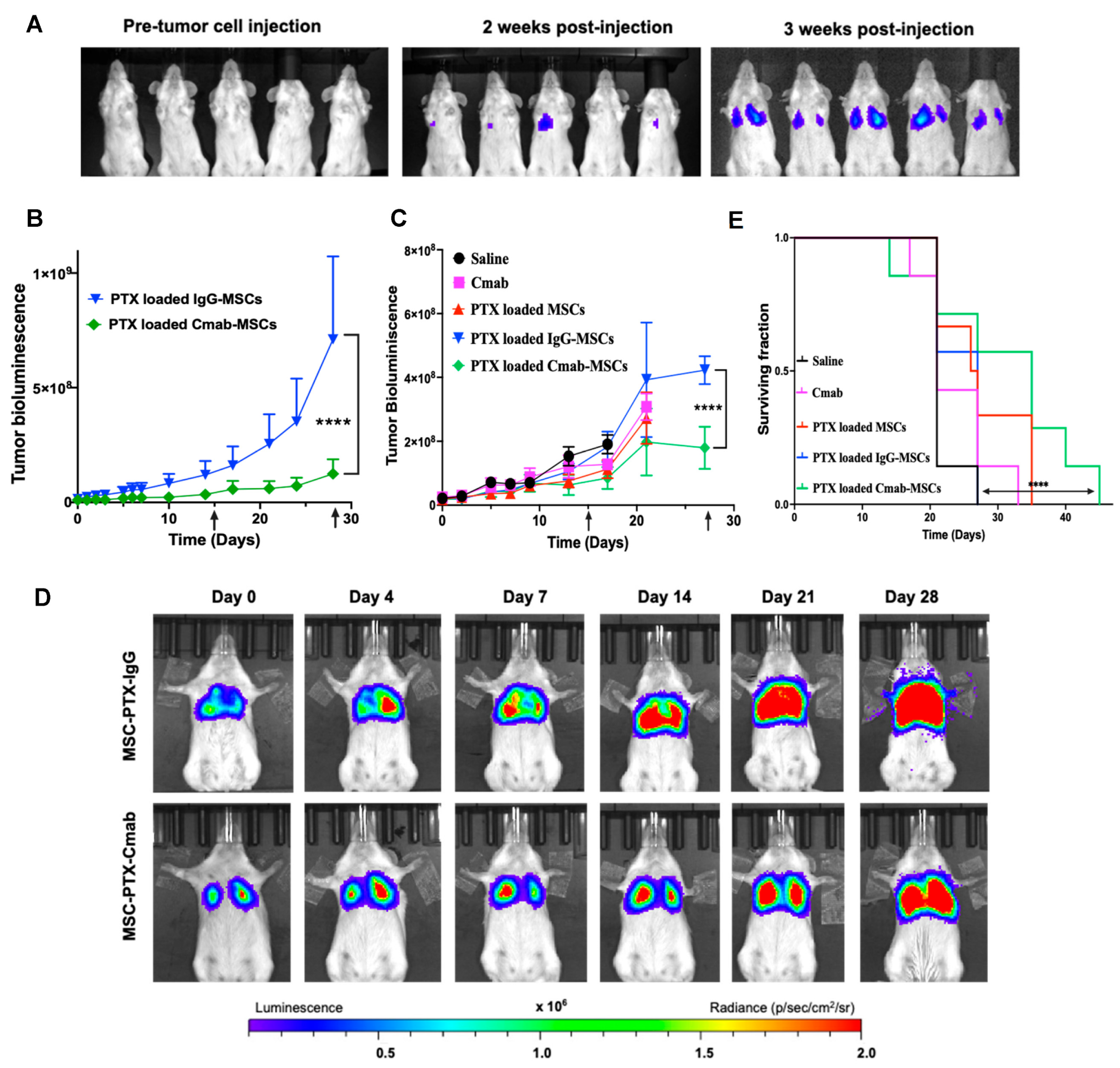 Pharmaceutics 15 01742 g007 Pharmaceutics 15 01742 g007