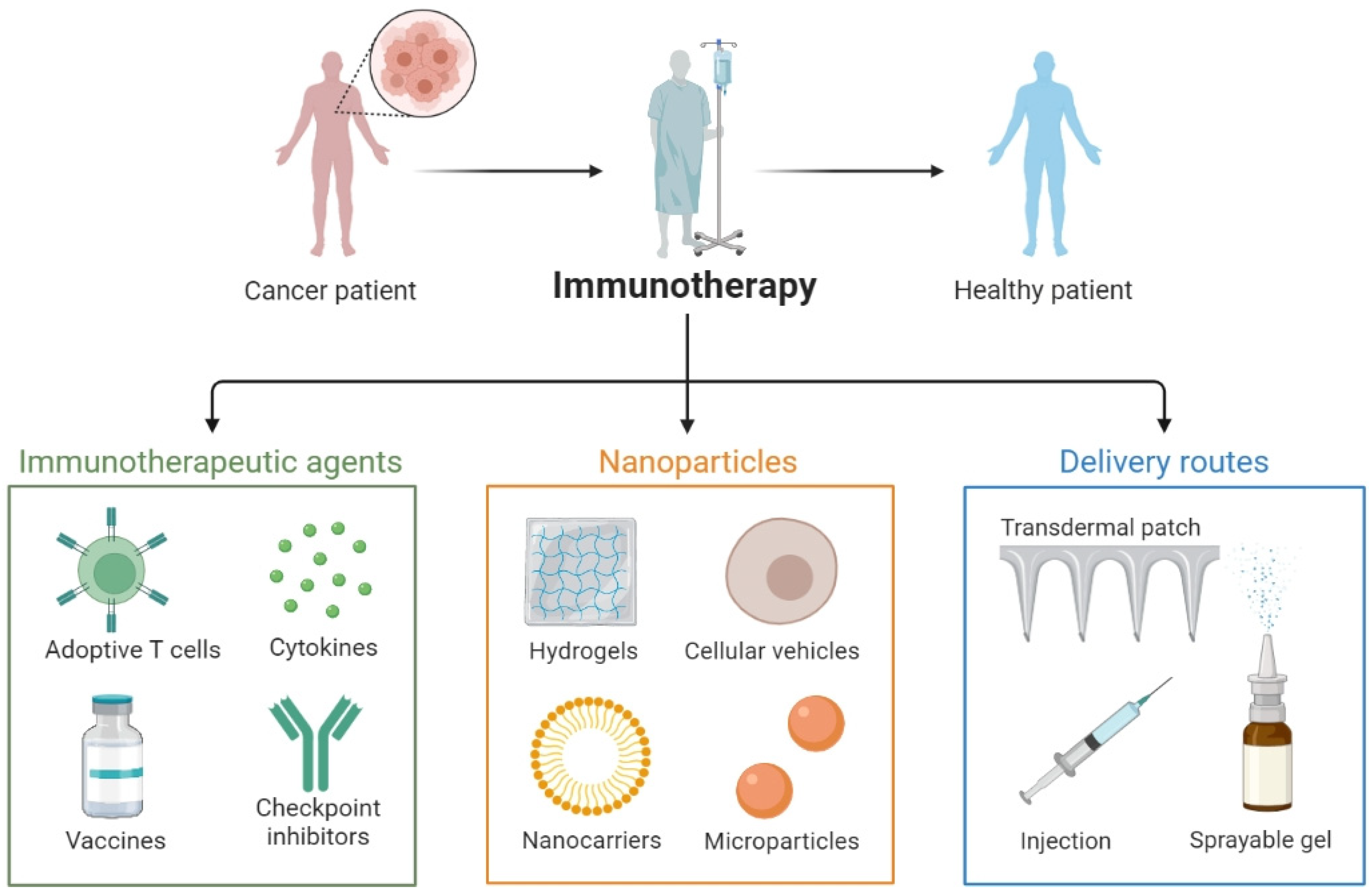 Pharmaceutics 15 01743 g001