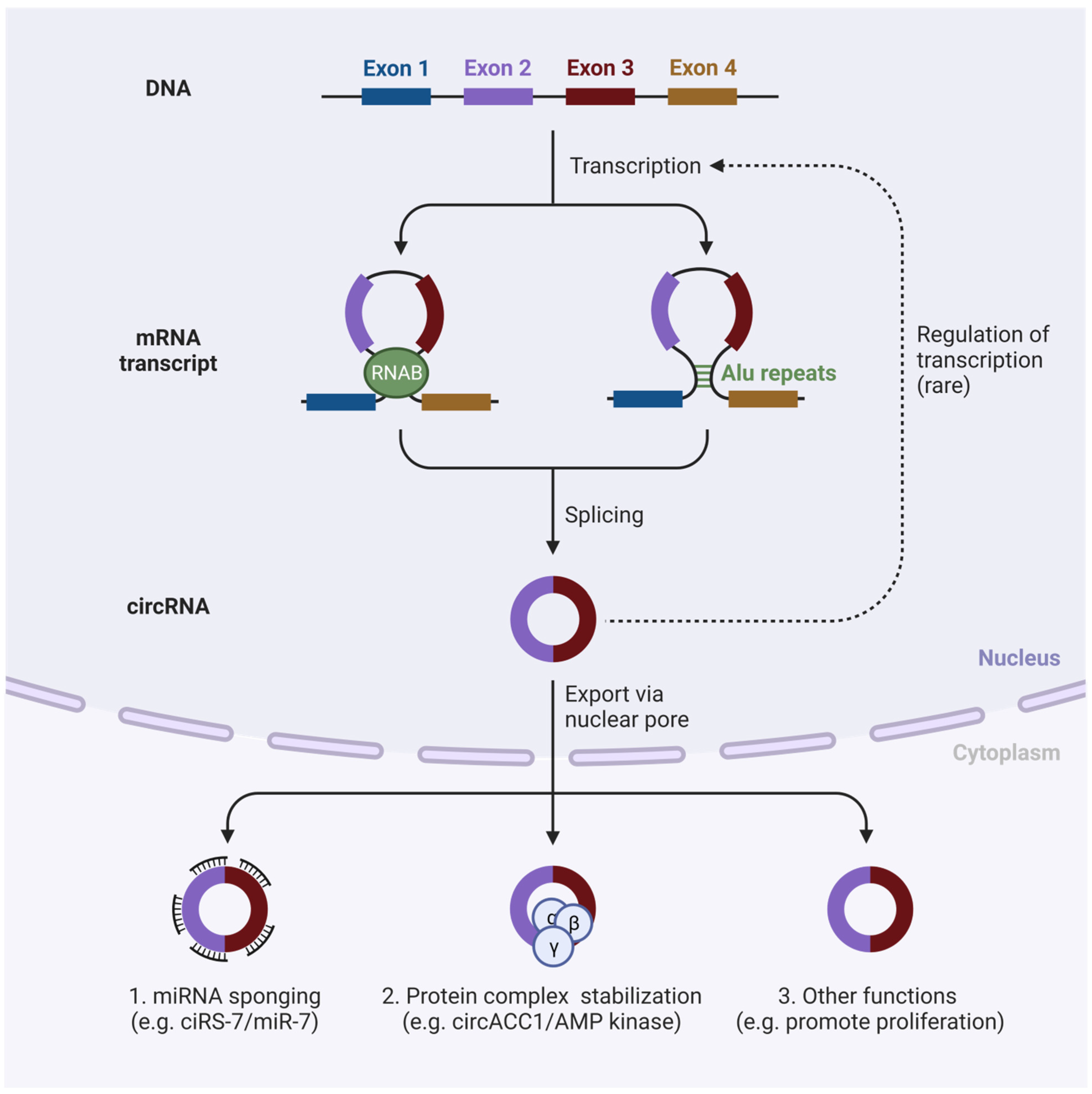 Pharmaceutics 15 01743 g002