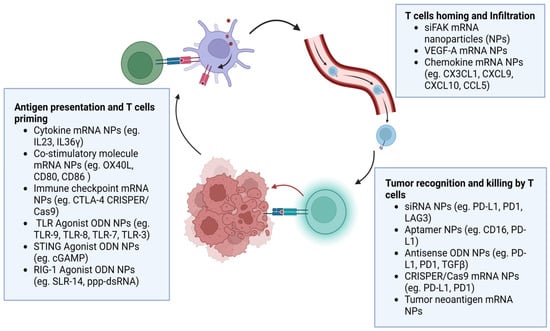 Pharmaceutics 15 01743 g004