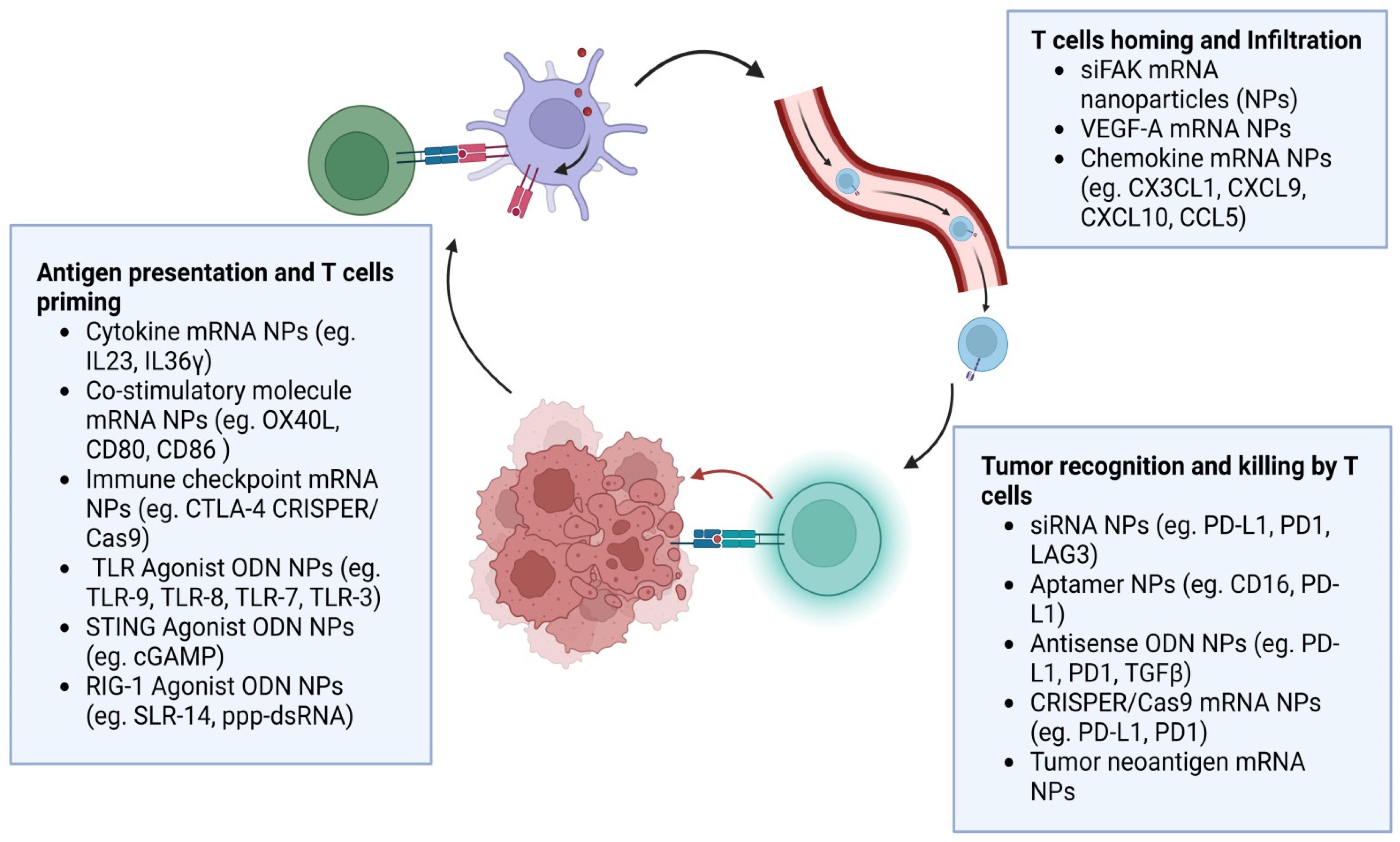 Pharmaceutics 15 01743 g004