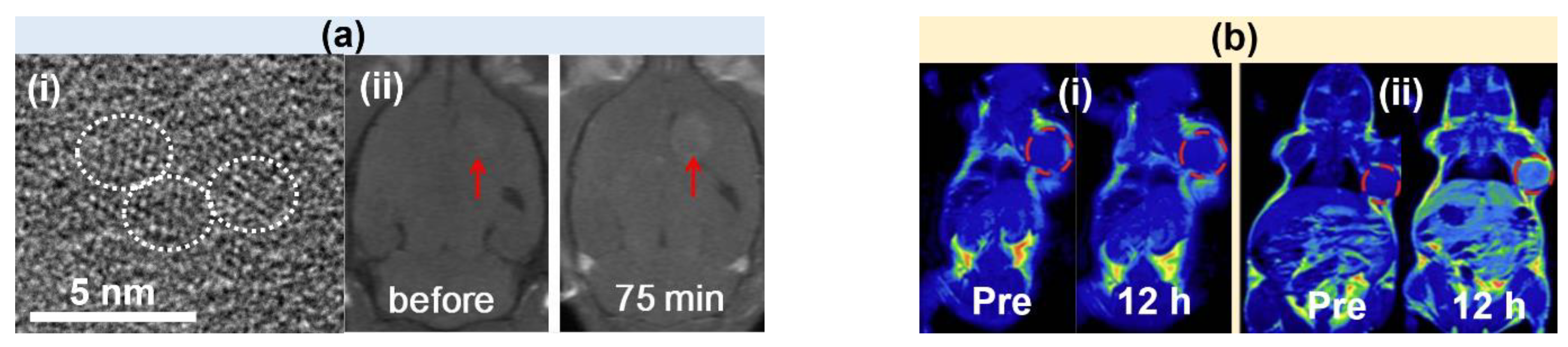 Pharmaceutics 15 01745 g001