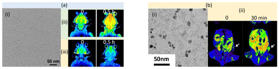 Pharmaceutics 15 01745 g002