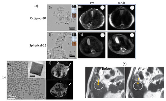 Pharmaceutics 15 01745 g003
