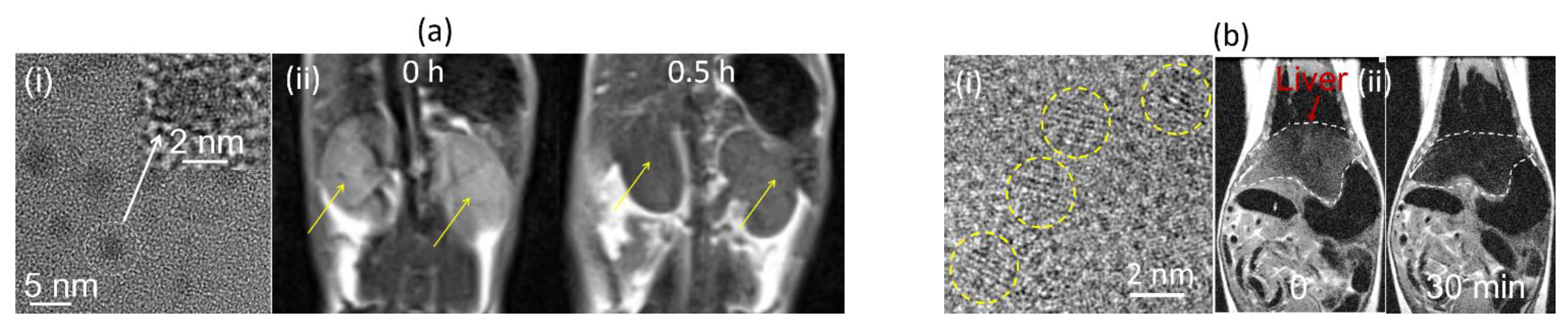 Pharmaceutics 15 01745 g004