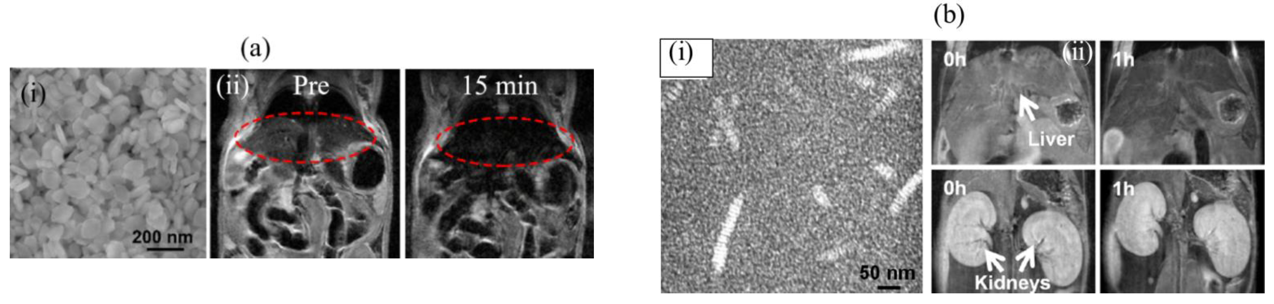 Pharmaceutics 15 01745 g006