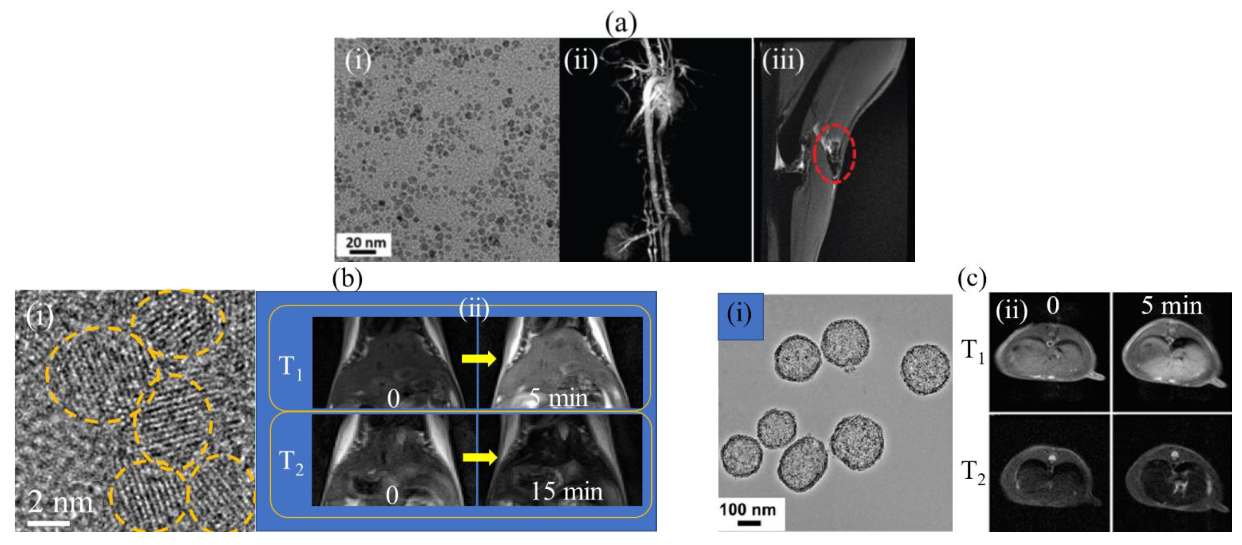 Pharmaceutics 15 01745 g007