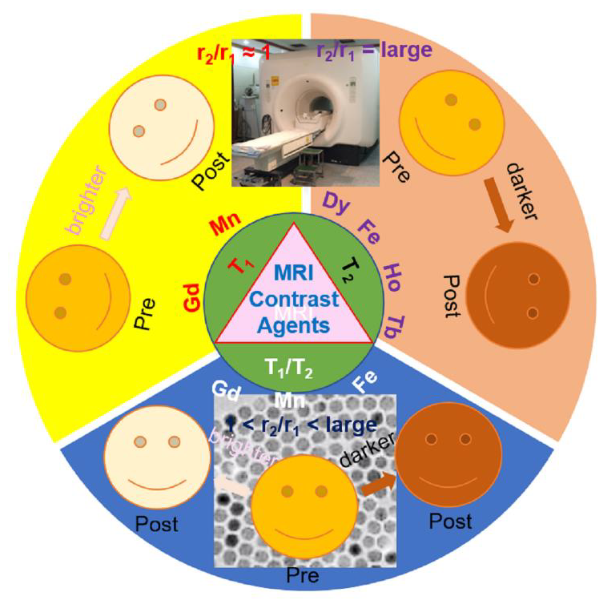 Pharmaceutics 15 01745 sch001