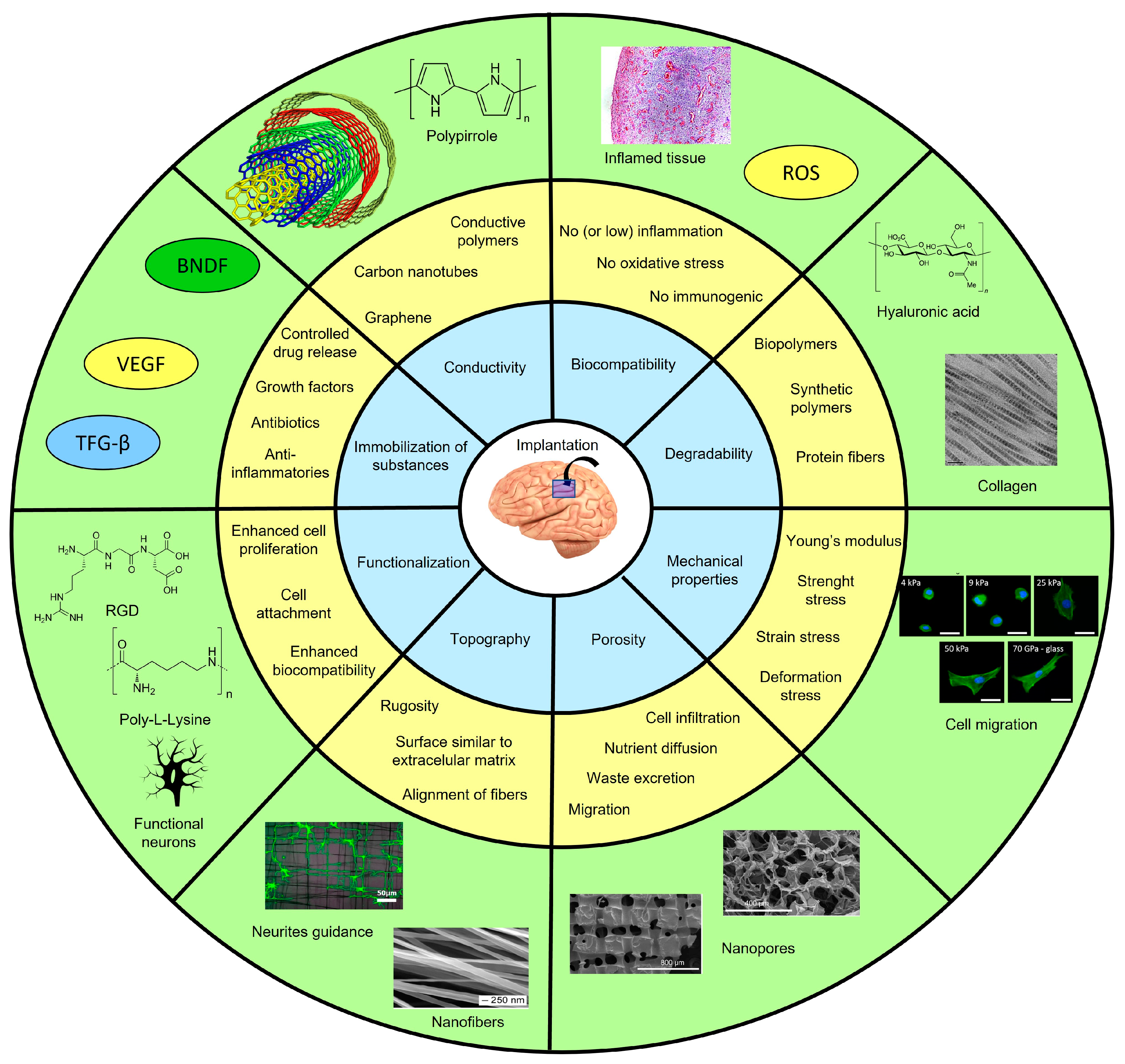 Pharmaceutics 15 01750 g001 Pharmaceutics 15 01750 g001