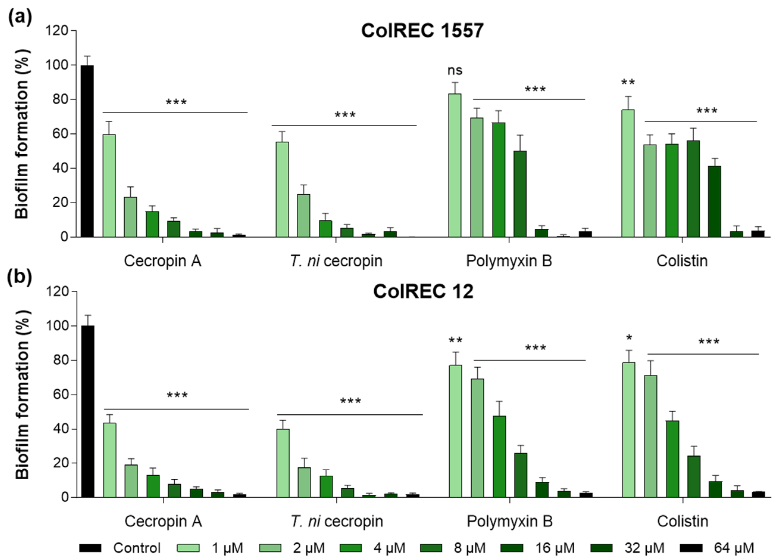 Pharmaceutics 15 01752 g002