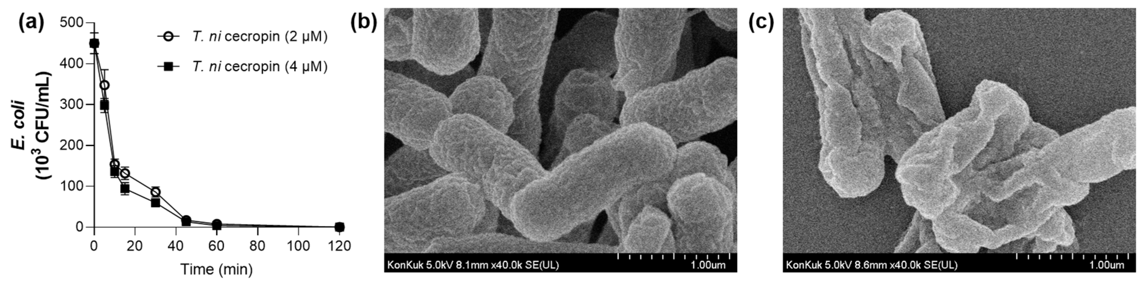 Pharmaceutics 15 01752 g005