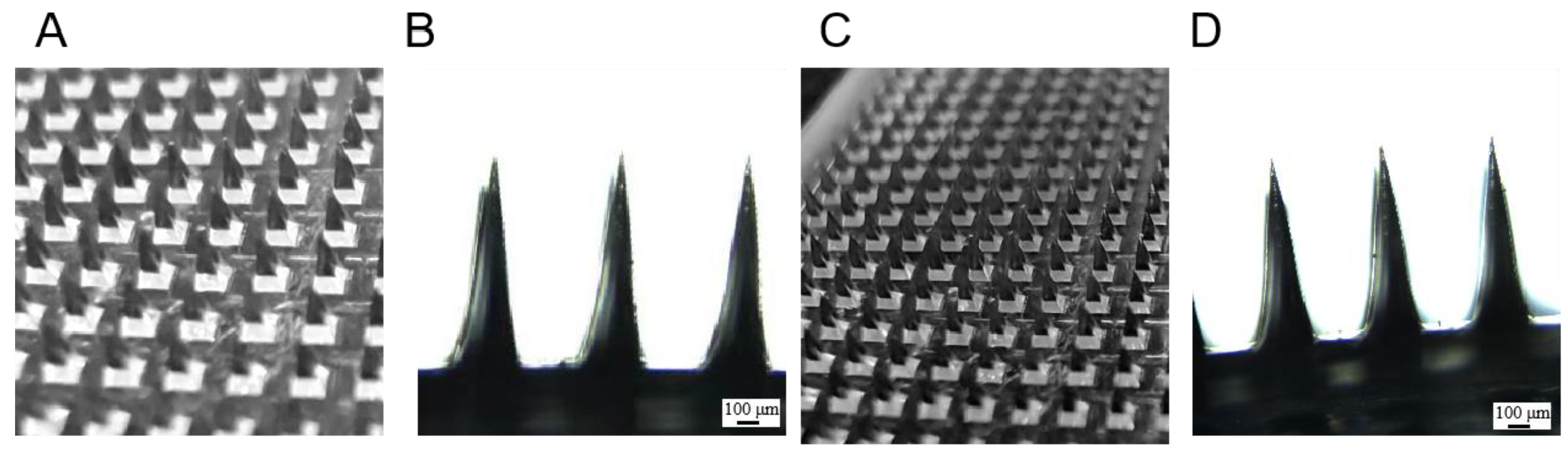 Pharmaceutics 15 01765 g005