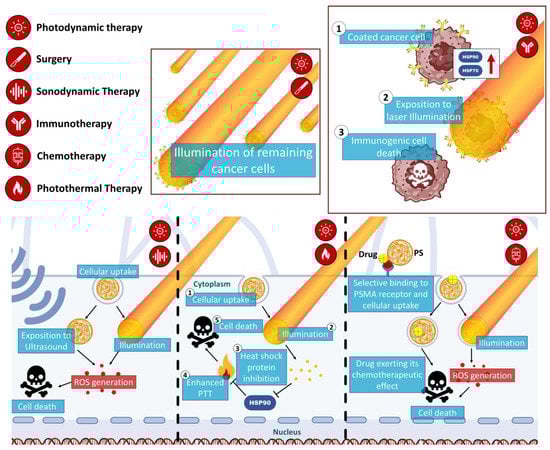 Pharmaceutics 15 01767 g004