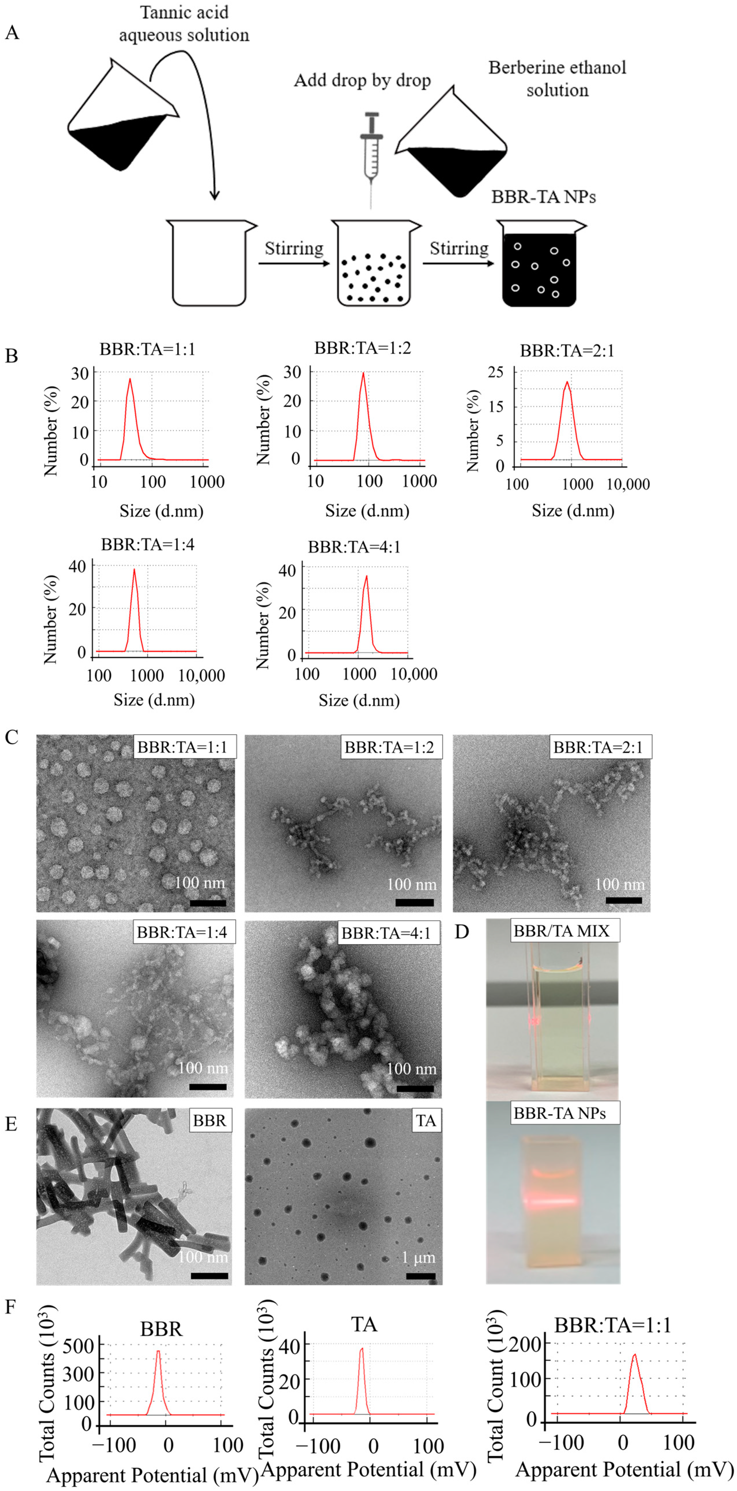 Pharmaceutics 15 01782 g001