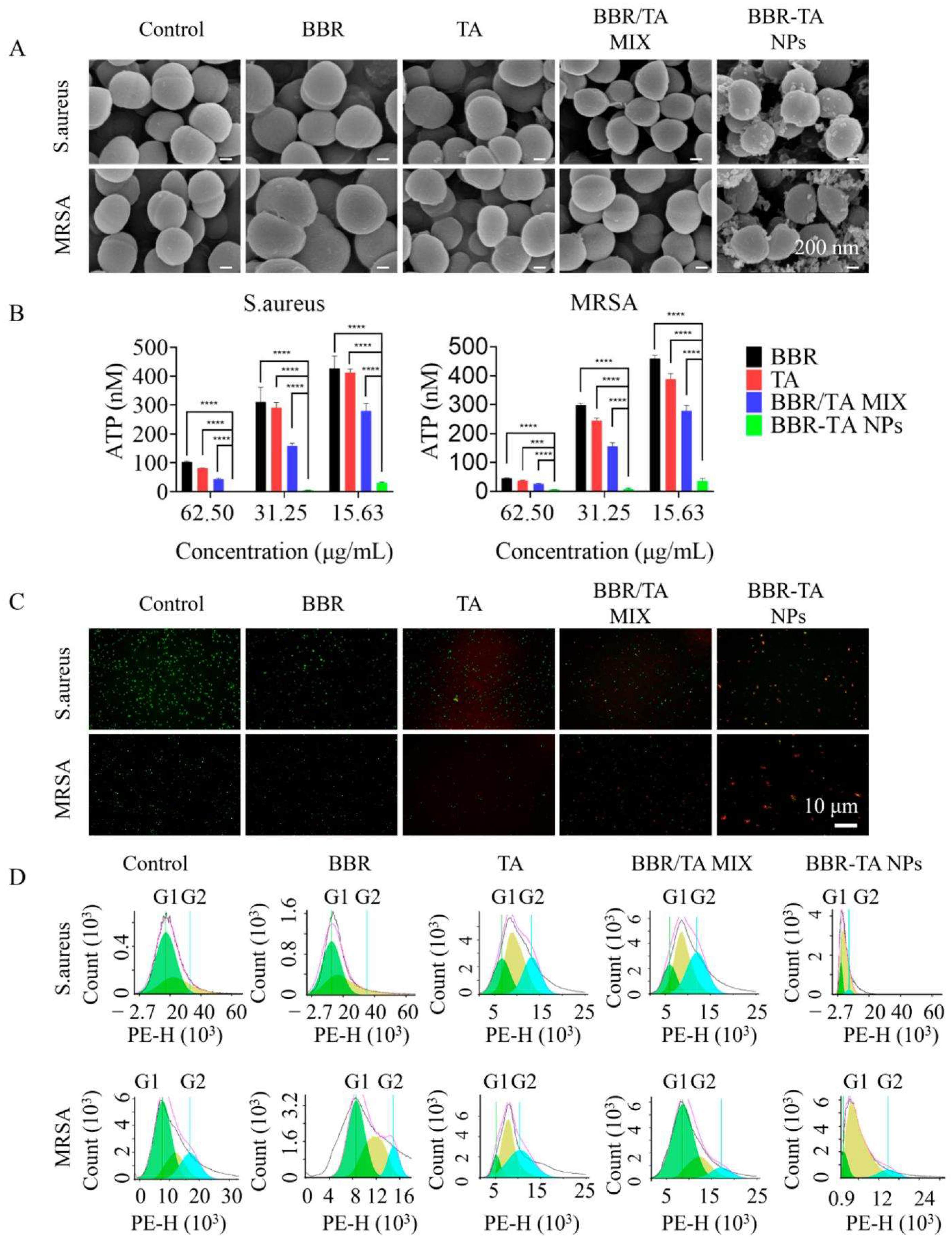 Pharmaceutics 15 01782 g004