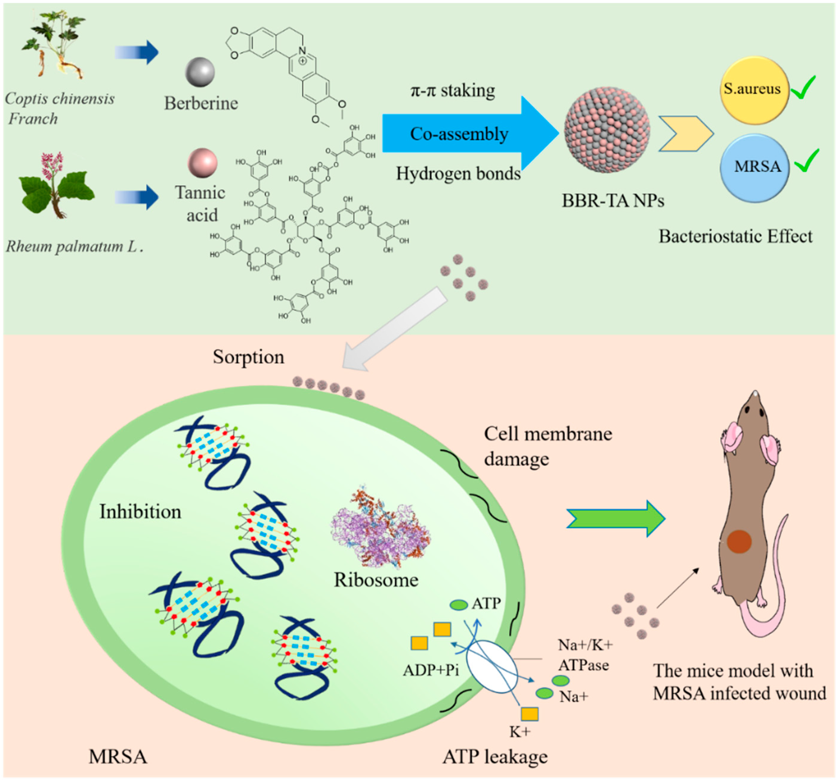 Pharmaceutics 15 01782 sch001