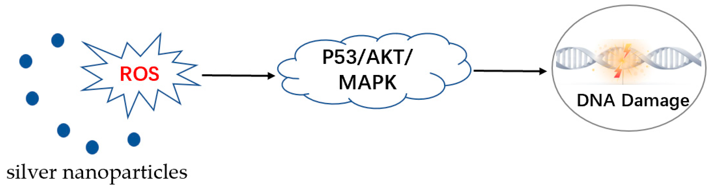 Pharmaceutics 15 01783 g005