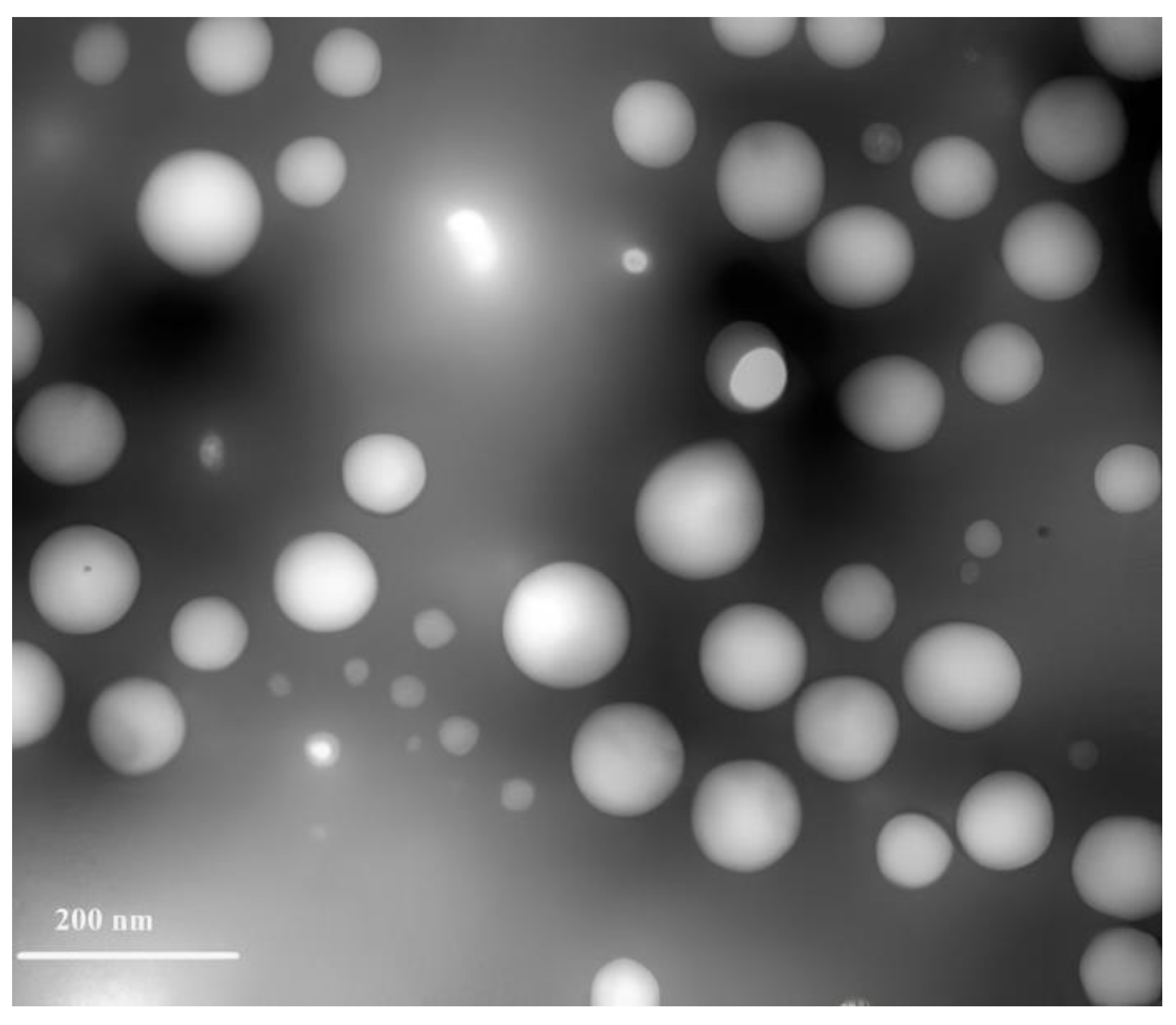 Pharmaceutics 15 01785 g005