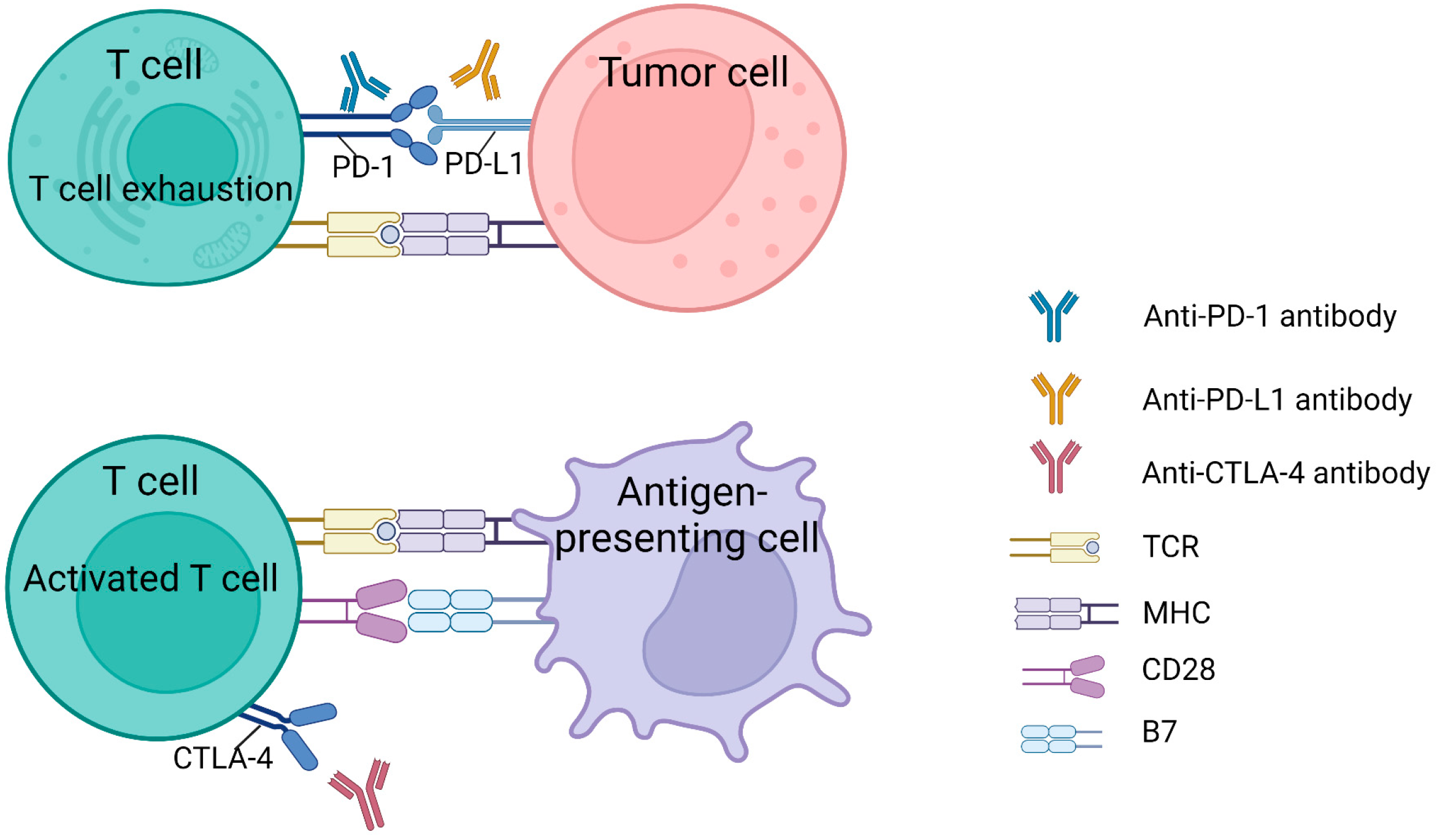 Pharmaceutics 15 01788 g002