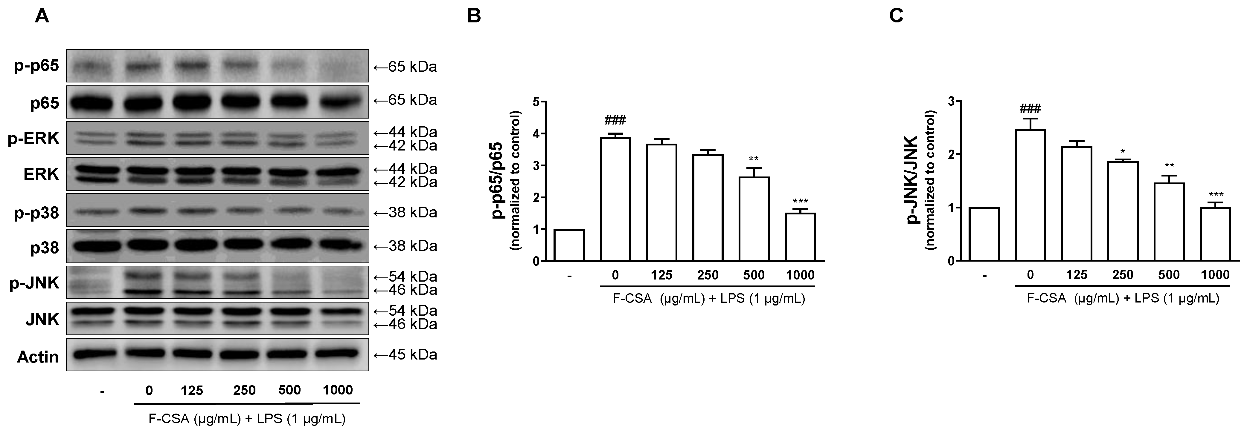 Pharmaceutics 15 01793 g006
