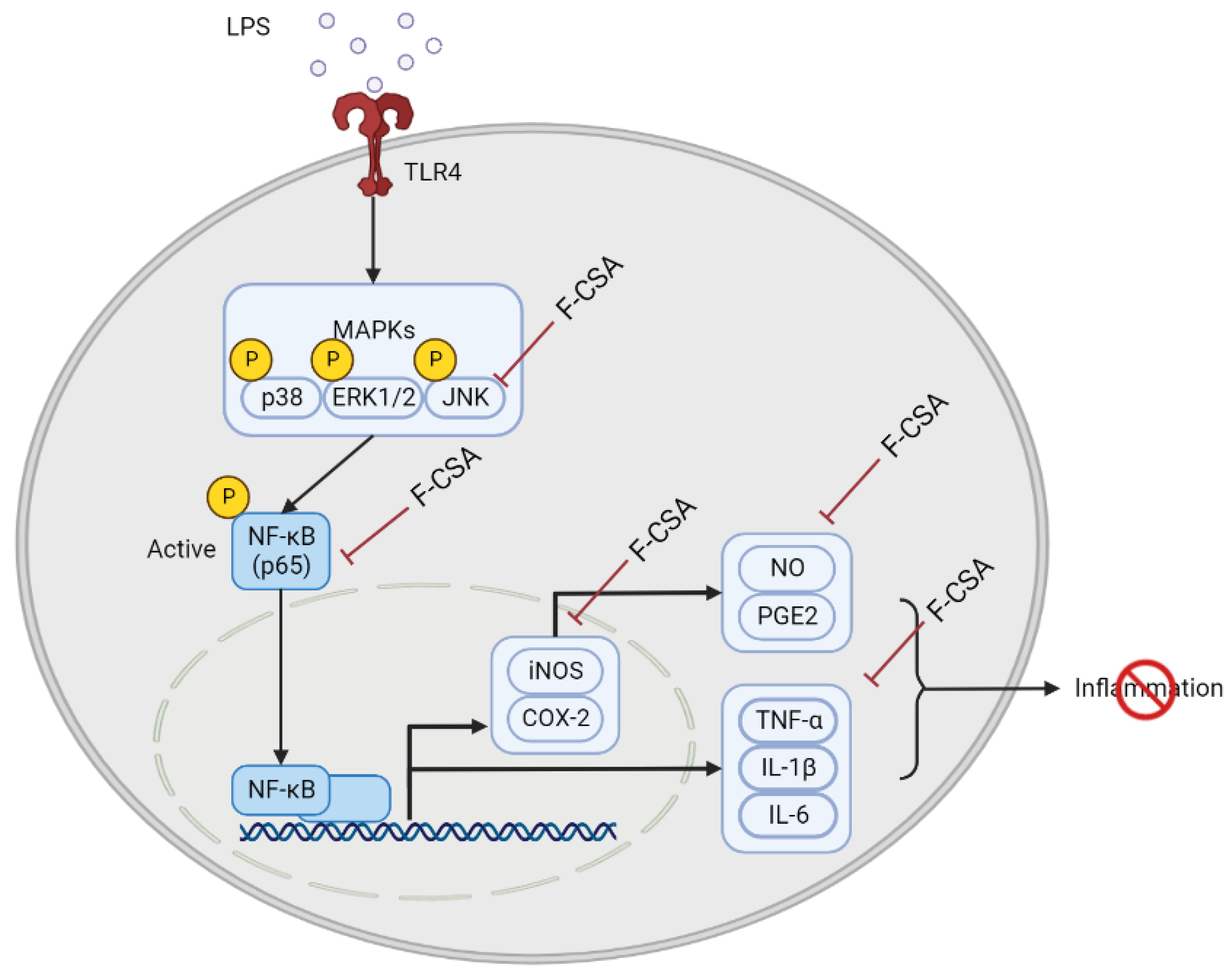 Pharmaceutics 15 01793 g008